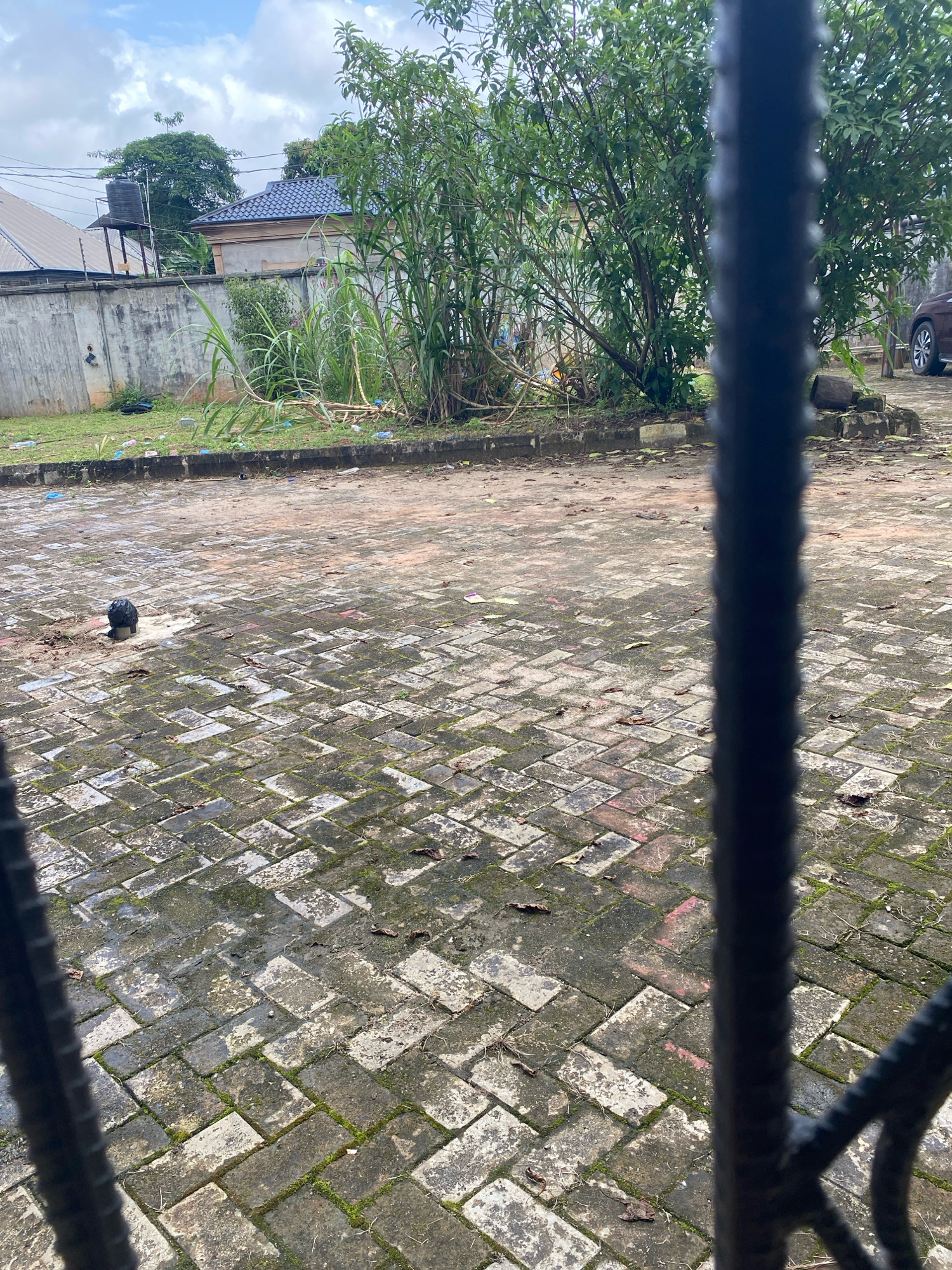 The image shows a paved outdoor area in Ugbor, Nigeria, viewed through a black metal grate. The paving stones are rectangular and laid in a herringbone pattern, with visible moss and dirt accumulation, suggesting a somewhat aged or weathered surface. In the left-center of the paved area, there is a dark, round object, possibly a ball or a discarded piece of material, partially embedded in the ground. Beyond the paving, there is a strip of grassy land with scattered debris, including plastic bottles and other refuse. A concrete wall runs along the edge of this grassy area, with some overgrown vegetation and tall reeds growing behind it. Further in the background, a house with a blue tiled roof is visible, along with another building with a lighter roof. The sky is partly cloudy. A portion of a brown car can be seen on the right side of the image. The overall impression is that of a utilitarian outdoor space, possibly a yard or courtyard, in a residential or semi-developed area.