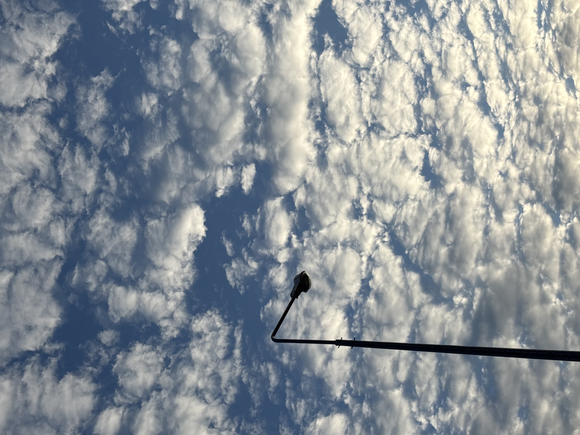The media file shows a low-angle view of a sky filled with scattered, fluffy white clouds against a clear blue sky. The sun appears to be shining, casting a bright light that illuminates the clouds, creating a textured and dynamic ceiling. A black street lamp with a distinctive angled arm extends into the frame from the right side, positioned in the lower half of the image. The lamp itself is silhouetted against the bright sky, with its fixture clearly visible at the end of the angled arm. The overall impression is one of a bright, perhaps late morning or early afternoon, with fair weather conditions. The scene evokes a sense of openness and the vastness of the sky. There is no visible text in the media file. The location context suggests this scene is in Chaikovsky, Russia.
