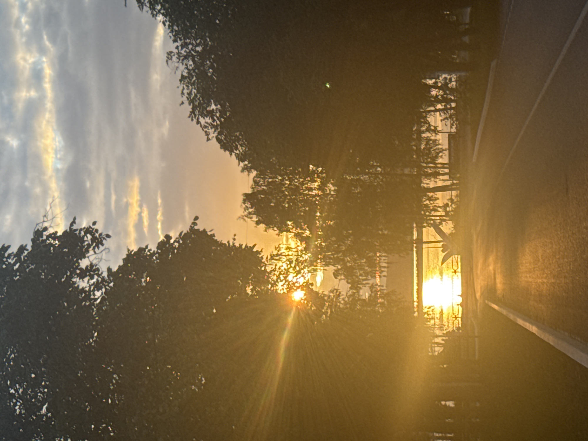 The image captures a sunset over a body of water, likely a river or lake, in Chaikovsky, Russia. Silhouetted trees frame the scene on the left, their foliage dark against the warm, golden hues of the setting sun. Rays of sunlight emanate from the sun, creating a lens flare effect that brightens the water and a distant structure.
To the right, a road with a white dividing line is visible, suggesting the vantage point is from a road adjacent to the water. The sky is a mix of soft grays and pale yellows, with wispy clouds illuminated by the setting sun. The overall atmosphere is serene and peaceful, indicative of dusk. There is no visible text in the image. The presence of a road and trees suggests an outdoor setting, possibly a park, embankment, or a scenic route.