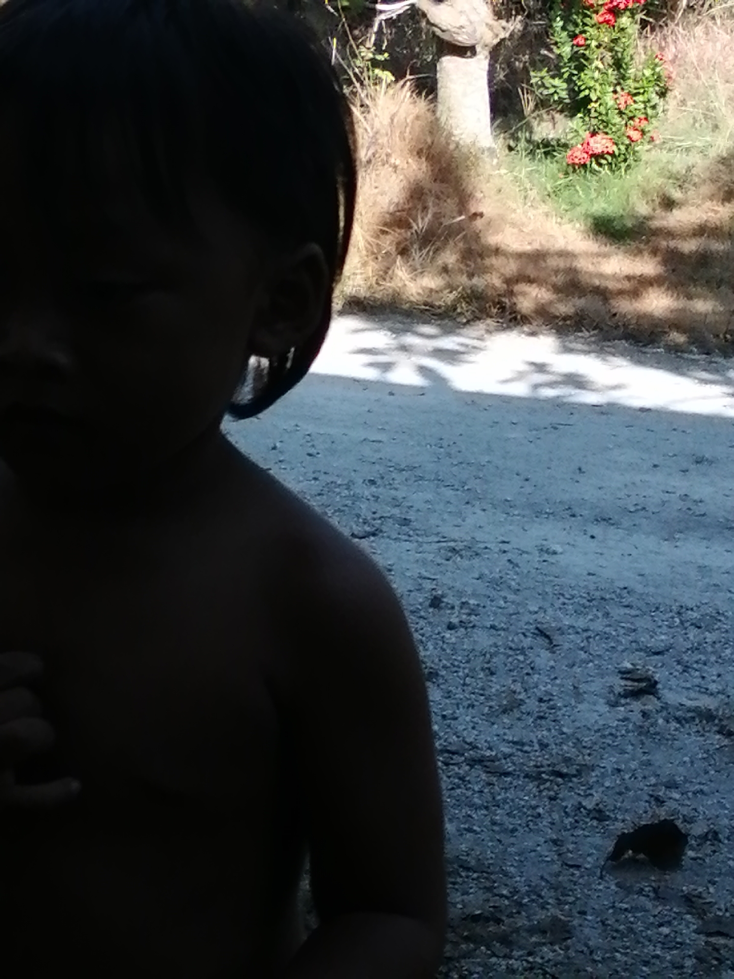 A close-up, side-profile shot shows a child from the chest up, facing towards the left of the frame. The child's head and upper body are largely in shadow, making it difficult to discern facial features or skin tone. Only the curve of the child's ear and a portion of their hair are clearly visible. The child's right arm is bent, with their hand resting near their chest.
The background features dry, brown grass and a patch of green vegetation with red flowers. A rough, gray, gravelly surface, possibly a road or path, occupies the lower half of the image, with dappled shadows of foliage cast across it. The lighting suggests an outdoor setting during daylight hours. The overall impression is of a candid, informal snapshot. The location is given as Unknown, Unknown.