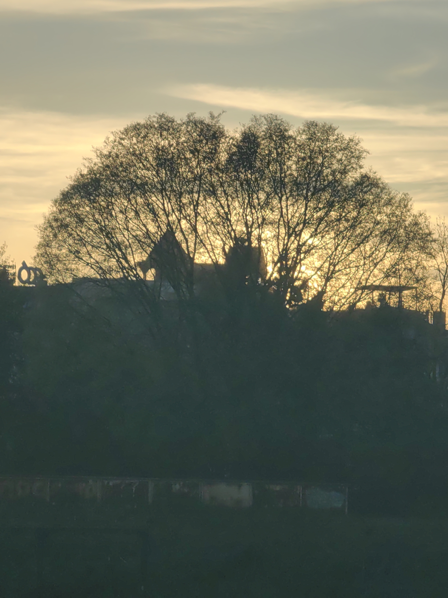 The image captures a serene landscape at either sunrise or sunset, featuring a dramatic backlighting effect. A large, deciduous tree, mostly bare of leaves, stands prominently in the mid-ground, its intricate branches silhouetted against the bright, golden-yellow sky. The sun, hidden behind the tree, casts a radiant glow, creating a strong contrast with the dark foreground and subjects.
Behind the tree, several structures are also rendered in silhouette. To the left, an abstract sculpture resembling an oversized ring or the letter 'O' is clearly visible. Further right, a building with a distinctive peaked roof and arched openings stands out, possibly an old church or ruin. On the far right, a flat-topped structure, perhaps a small pavilion or gazebo, completes the elevated horizon line. The sky transitions from warm yellow near the horizon to a paler, streaky grey-blue higher up, with wispy clouds. The foreground is a deep, dark expanse of ground or low-lying vegetation, with indistinct horizontal lines and shapes barely discernible within the shadows.
The scene is static, devoid of any visible activity or people, evoking a sense of calm and mystery. Given the context, this tranquil view is located in or around Sofia, Bulgaria, with the abstract sculpture potentially being a modern art piece within the cityscape or surrounding areas. No visible text is present in the image.