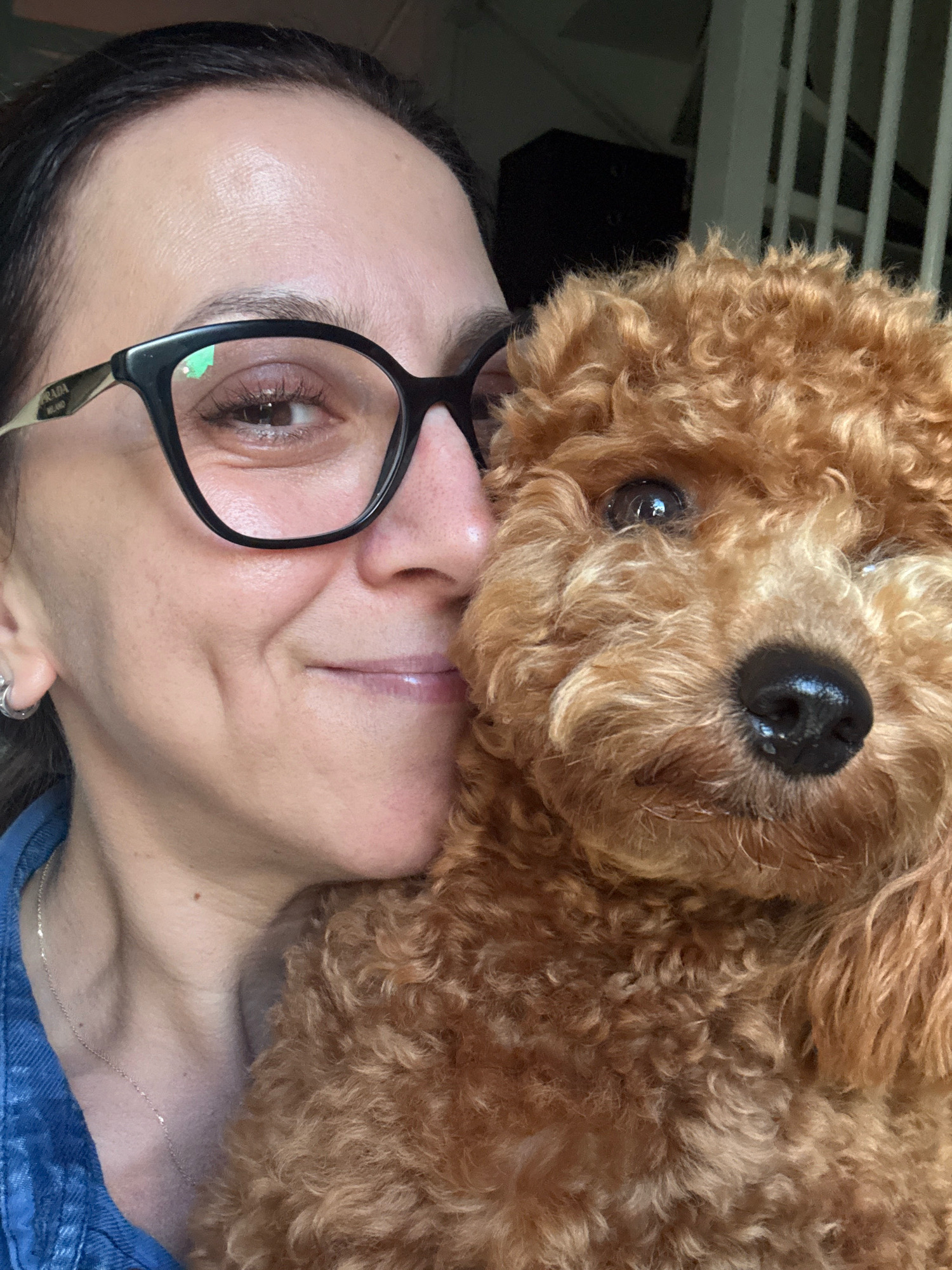 The image shows a close-up of a woman and a dog. The woman, on the left, is wearing glasses and has her head tilted towards the dog. She has dark hair pulled back and is smiling. She is wearing a denim shirt and a silver necklace. The dog, on the right, is a small, fluffy breed, likely a poodle or doodle mix, with reddish-brown fur. The dog is nuzzled against the woman's cheek. The background appears to be indoors, with a glimpse of a white railing and dark furniture. The scene does not provide any specific visual cues to determine its location within the city of Marum, Netherlands.