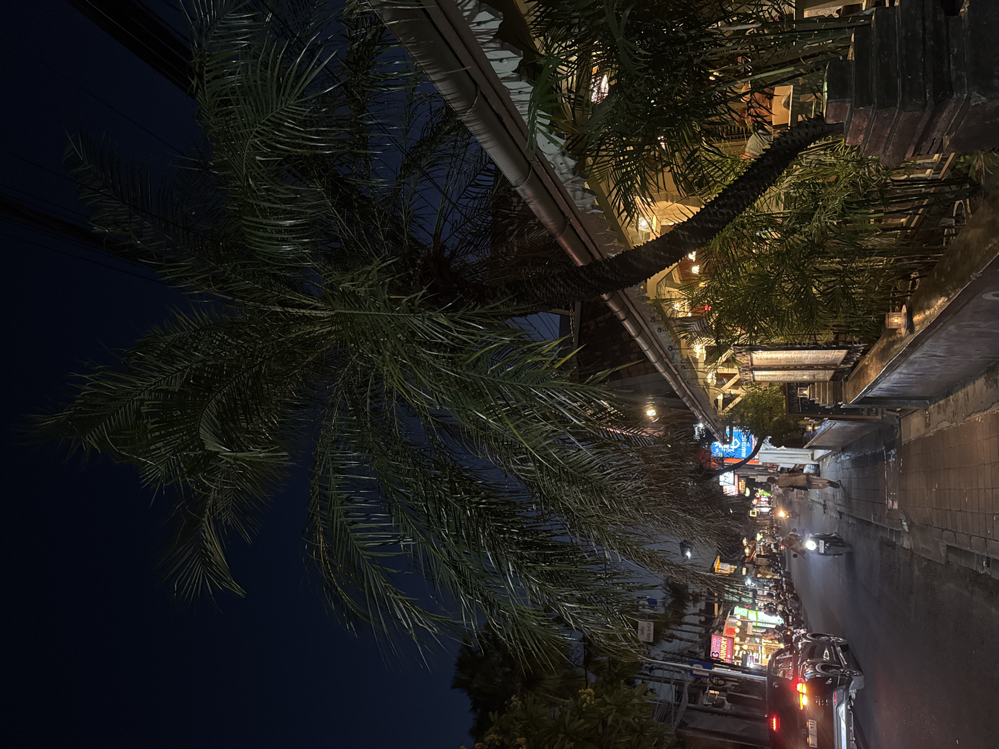 This image depicts a street scene at night in North Kuta, Indonesia. A palm tree dominates the foreground, its fronds casting shadows across a paved sidewalk and the adjacent street. The street is lined with buildings, many of which appear to be businesses, indicated by illuminated signs and storefronts. A black SUV is parked on the left side of the street, with its taillights illuminated. Further down the street, a person is riding a scooter. Another person is walking on the sidewalk. Various plants and greenery are visible along the building facades and on the sidewalk. The sky is dark, indicating it is nighttime. The overall atmosphere is that of a lively commercial street at night.