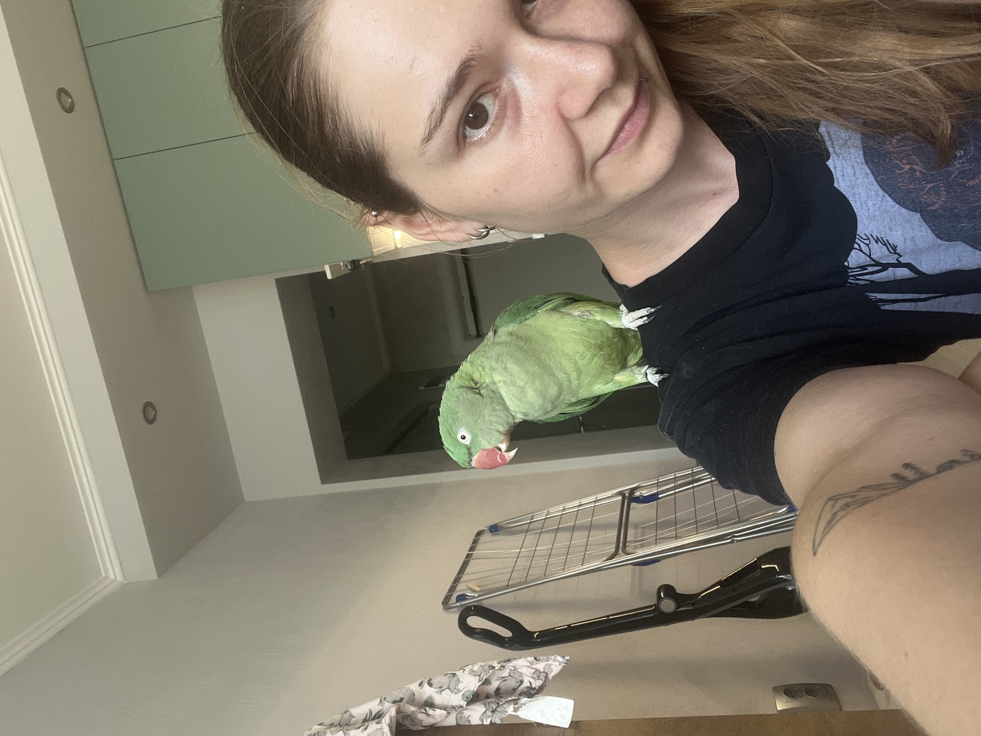 A young woman with long brown hair is taking a selfie with a green parrot perched on her shoulder. She is wearing a black t-shirt with a grey graphic design. The parrot has a bright pink beak and green feathers. In the background, there is a drying rack, a wall with a light switch, and mint green cabinets. The scene appears to be indoors, possibly in a home. There is no information about the location in Pazardzhik, Bulgaria.