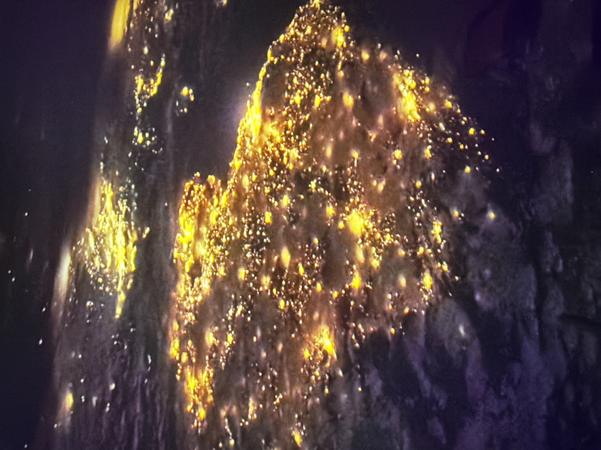 The image is an aerial view of a city at night, illuminated by a dense network of lights. The lights form a bright, expansive pattern across the landscape, suggesting a large urban area. The overall impression is one of a vibrant city aglow in the darkness. The specific location of Kyiv, Ukraine, cannot be definitively identified from the provided image alone, as it lacks specific landmarks or geographical markers. However, the image depicts a general urban setting with numerous artificial lights, consistent with a major city like Kyiv.