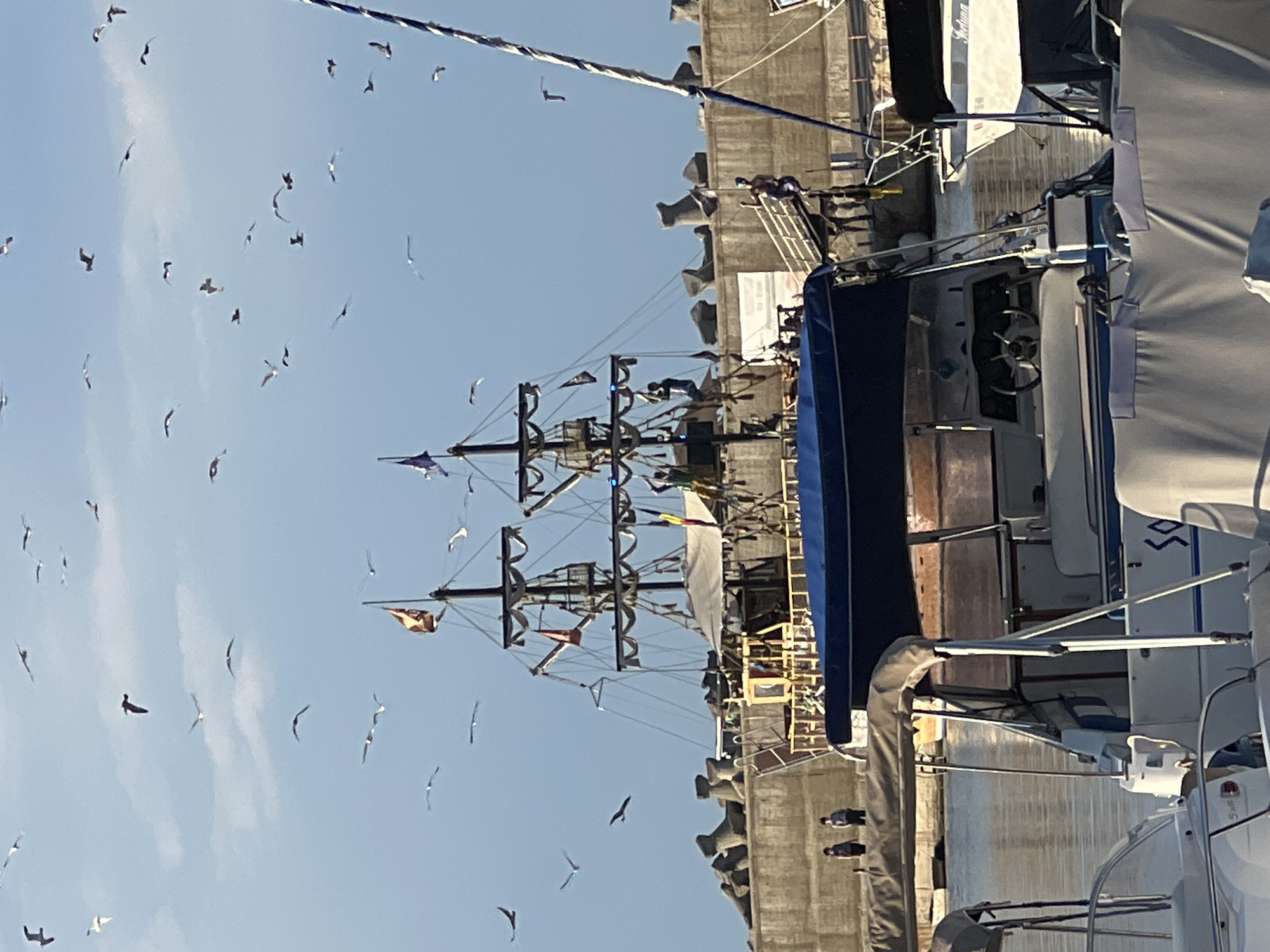 The image shows a picturesque scene in Constanța, Romania, likely along the waterfront near the city's historic old town. In the foreground, several modern boats are docked, one with a blue canopy and another partially covered. The water appears calm, reflecting the clear blue sky.
Dominating the mid-ground is a large, decorative sailing ship, designed to resemble a pirate ship, with its masts, rigging, and flags clearly visible. Several people are visible on the deck of this ship, possibly passengers or crew. The ship is docked next to a concrete breakwater, a common sight in port cities to protect the harbor from waves.
The background features more of the concrete breakwater structure, characteristic of the Constanța port area. Numerous seagulls are soaring in the sky above the ships and breakwater, adding a dynamic element to the scene. The overall impression is one of a vibrant coastal environment, combining historical maritime aesthetics with modern leisure boating.