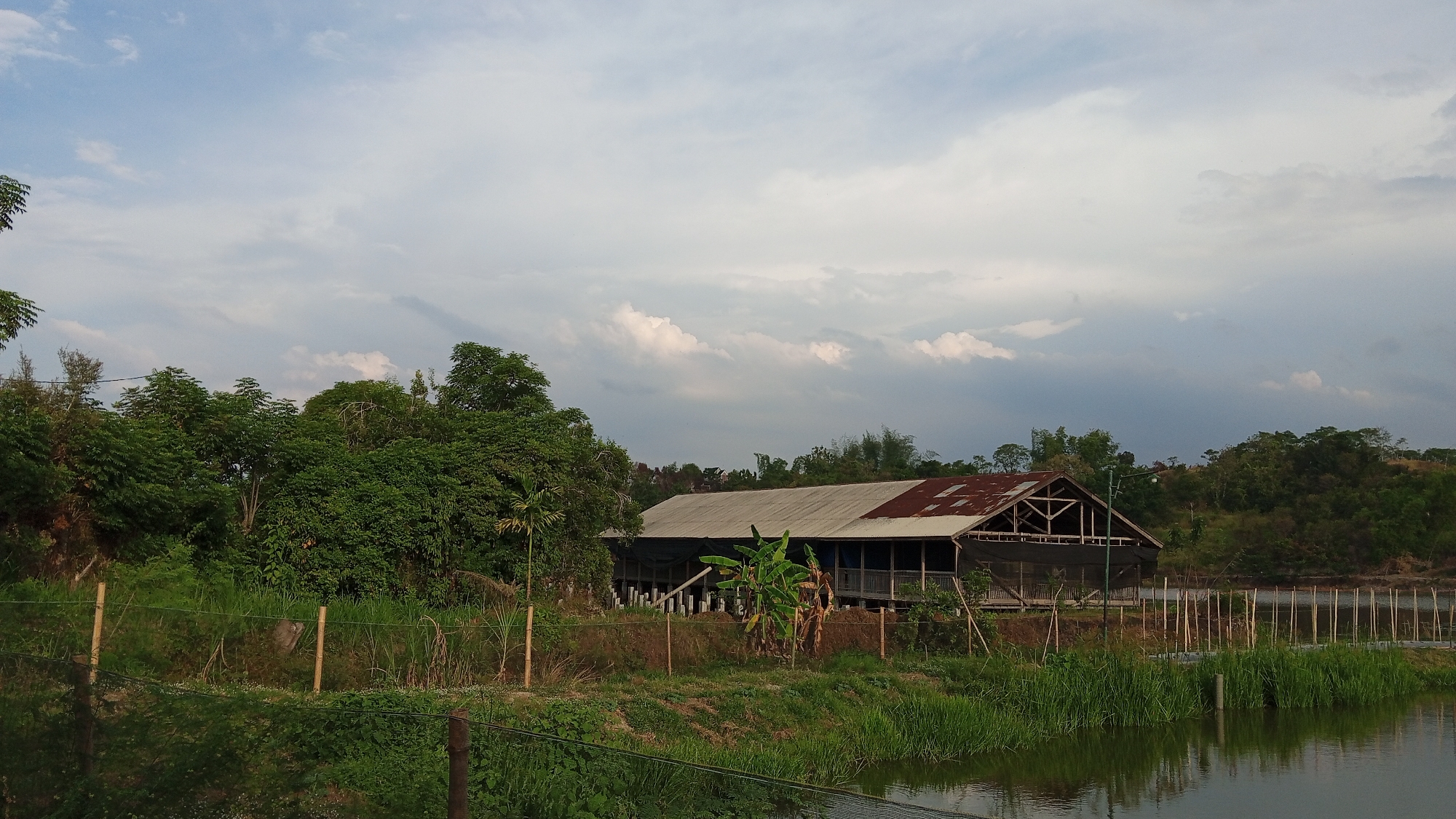 The image captures a cloudy sky over a rural landscape in Geulangganggampong, Indonesia. A long, open-sided building with a corrugated metal roof, partially rusted, is situated in the mid-ground. The building appears to be elevated on stilts and has netting on its sides, suggesting it might be used for livestock or agricultural purposes. In front of the building, there are several banana trees and some visible white structures that could be animal feeders or waterers. A shallow body of water with tall grass and reeds lines the foreground, reflecting the overcast sky. Beyond the building, dense green trees and vegetation cover the land, leading up to rolling hills in the background. The scene is devoid of any human presence.