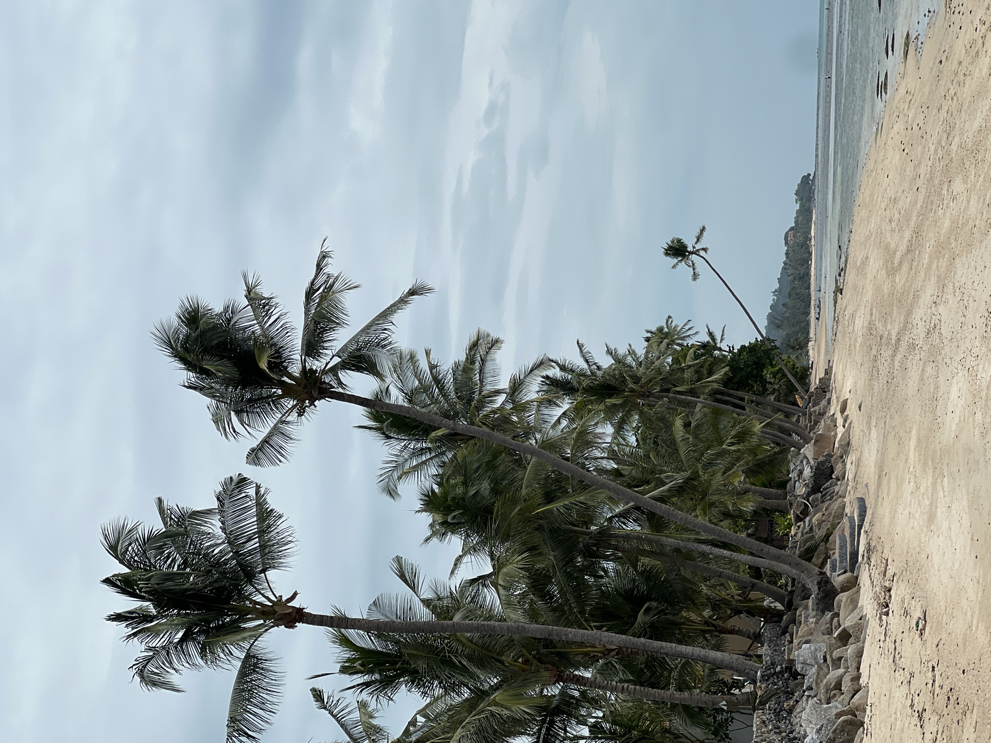 The image captures a serene tropical beach scene in Baan Tai, Thailand, under an overcast sky. A long row of numerous palm trees with dense green fronds, some appearing wind-swept, dominates the left and center of the frame. Their tall, slender trunks lean towards the sandy shore.
Below the palm trees, a rugged embankment composed of various sized rocks and boulders forms a natural or man-made barrier separating the trees from the beach. To the right, a wide expanse of light brown, coarse sand stretches towards the water's edge, showing faint textures and a few small indentations.
Beyond the sandy beach, the calm, shallow waters of the ocean extend to the horizon. The water's surface reflects the soft, diffused light of the cloudy sky. In the distant background, across the water, a low-lying landmass or island is visible, covered in lush greenery, with a small, reddish-roofed structure just discernible. A single, very tall and slender palm tree stands out against this distant shoreline.
The sky is a uniform light grey, filled with soft, wispy clouds, indicating an overcast or hazy daytime. No direct sunlight is visible. The overall mood is tranquil and natural. There are no people, animals, or specific activities depicted. No visible text is present in the image.