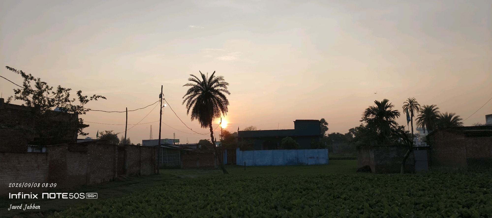 The image depicts a rural landscape at dawn or dusk, featuring a row of brick walls and buildings with a dense green field in the foreground. A prominent palm tree stands silhouetted against the warm, gradient sky, with the sun partially visible behind it. Several utility poles with wires are present throughout the scene. The sky is a soft blend of orange and pale yellow, with a few wispy clouds. Text overlays in the bottom left corner indicate the date and time as "2026/09/08 08:09," the device as "Infinix NOTE5OS SG+," and a name as "Javed Jabbar." The general atmosphere is tranquil and serene. The location is identified as Bahera, India.