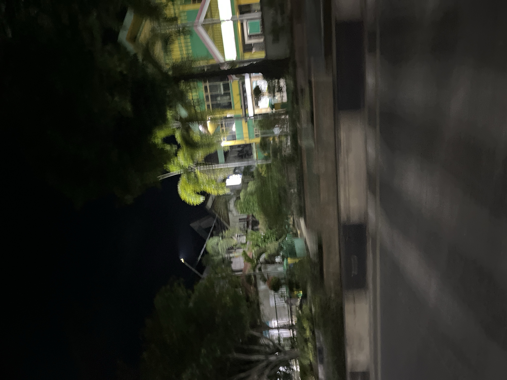 The image captures a nighttime scene on a street in Langsa, Indonesia. The foreground shows a dark asphalt road with faint white markings, likely indicating lanes or a crosswalk. A raised concrete median strip runs along the side of the road, bordered by dark, possibly reflective, rectangular segments. Beyond the median, a sidewalk or green space is visible, featuring lush vegetation, including trees with dense foliage and palm trees with their characteristic fronds.
Behind the greenery, buildings are illuminated, providing a colorful contrast to the dark night sky. One building, in particular, stands out with its vibrant green and yellow facade, featuring several windows and an angled roofline with white trim. Other structures appear to be multi-story houses or commercial buildings, with some windows showing interior lights. The overall impression is of a residential or commercial street in a tropical urban environment, illuminated by streetlights and building lights, creating a somewhat blurred and atmospheric effect due to the nighttime conditions and possibly motion.