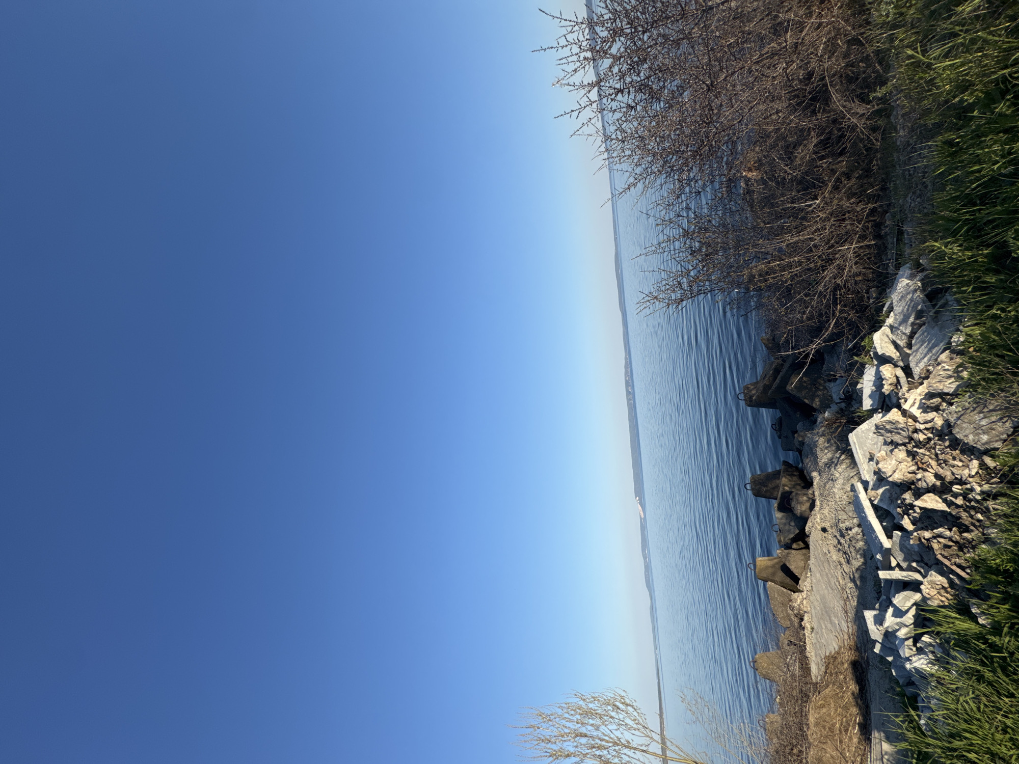 A landscape photograph, oriented vertically, displays a clear, blue sky occupying the left half of the frame. The right half transitions from a body of water to a rocky shoreline, vegetated with grass and shrubs. The water appears calm with subtle ripples. The shoreline is constructed from uneven rocks and vegetation. The sky is uniformly blue, free of clouds. The location is Unknown, Unknown. There are no people visible in the image.