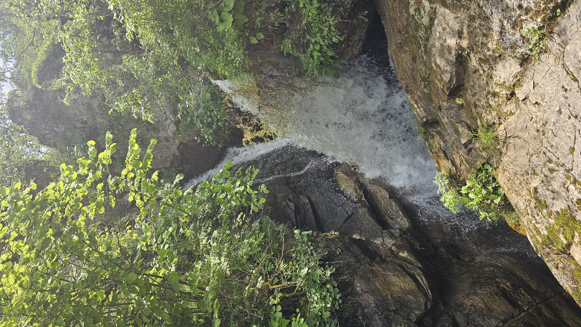 This image depicts a narrow, verdant gorge with a waterfall cascading over rocky ledges. Lush green foliage, including trees and smaller plants, flanks the waterfall and the rocky sides of the gorge. The sunlight filters through the leaves, creating dappled light on the scene. The water is white and frothy as it descends. The rock formations appear to be a mix of dark and lighter-colored stones, with some moss and smaller vegetation growing on them. The bottom of the gorge is not fully visible, but appears to be a darker, possibly deeper area where the water collects. The scene is dominated by natural elements, with no human presence or man-made structures immediately evident. The environment suggests a secluded, natural setting, potentially a hiking trail or a natural reserve. The city of Красный Курган, Russia, is known for its mountainous terrain and natural beauty, which aligns with the scenery presented in the image.