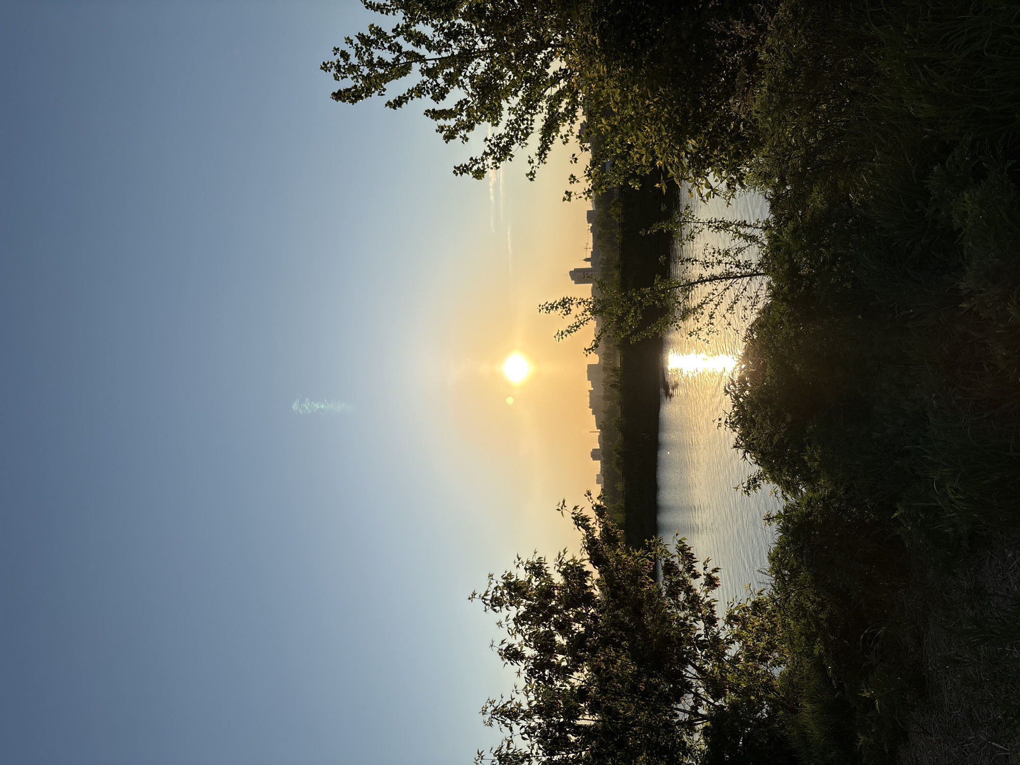 The image displays a tranquil landscape at either sunrise or sunset, featuring a wide body of water, likely a river, with a distant city skyline under a clear sky. The bright, golden sun is positioned low on the left side of the frame, casting a warm, golden glow across the horizon and reflecting vibrantly as a shimmering vertical streak on the water's surface. The sky transitions from a deep blue at the top to a light blue and yellow-orange hue near the sun.
In the mid-ground, a silhouette of buildings and urban structures forms a discernible city skyline along the far bank of the water, suggesting an urban environment beyond the natural foreground. Lush green foliage and tree branches frame the scene in the upper right and lower left corners, providing a natural, verdant border to the expansive view. The overall scene evokes a sense of peacefulness, capturing the interplay of natural light, water, and distant human settlement. The clear weather and warm lighting suggest either an early morning or late afternoon moment. No text is visible in the image. Given the location context, this is likely a view of Krasnoyarsk, Russia, along its prominent river.
