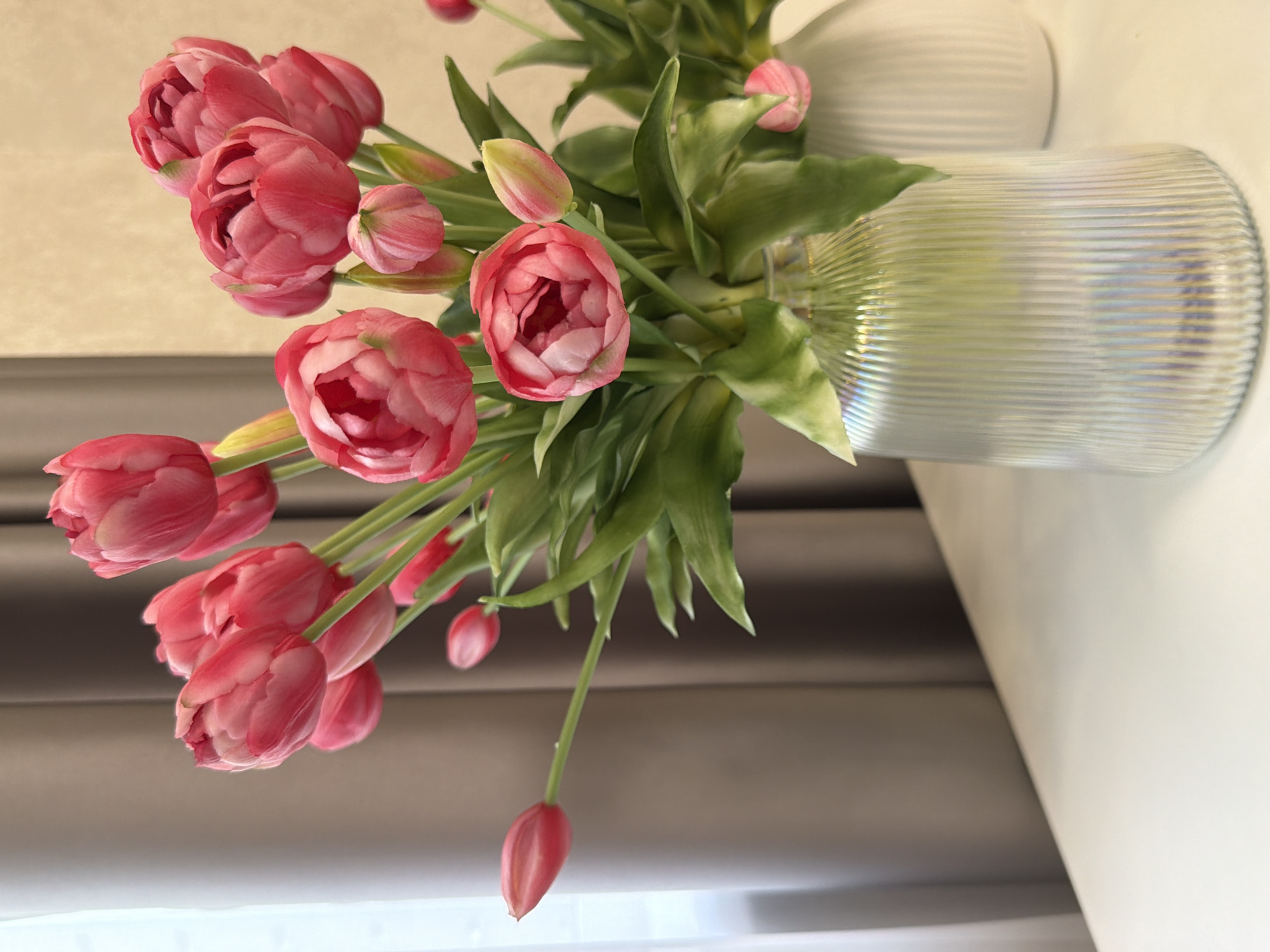 This media file is a photograph of a bouquet of pink tulips in a ribbed glass vase. The tulips are a vibrant pink and some are fully bloomed, while others are still in bud form. Green leaves are also visible amongst the flowers. The vase is clear and has a ribbed texture, with a hint of iridescence reflecting the light. Behind the vase, another similar vase is partially visible. The background consists of a light-colored wall and a darker, blurred surface that could be a table or countertop. The lighting suggests an indoor setting, possibly during the daytime. The overall impression is one of natural beauty and a simple, elegant floral arrangement. There is no visible text in the image.