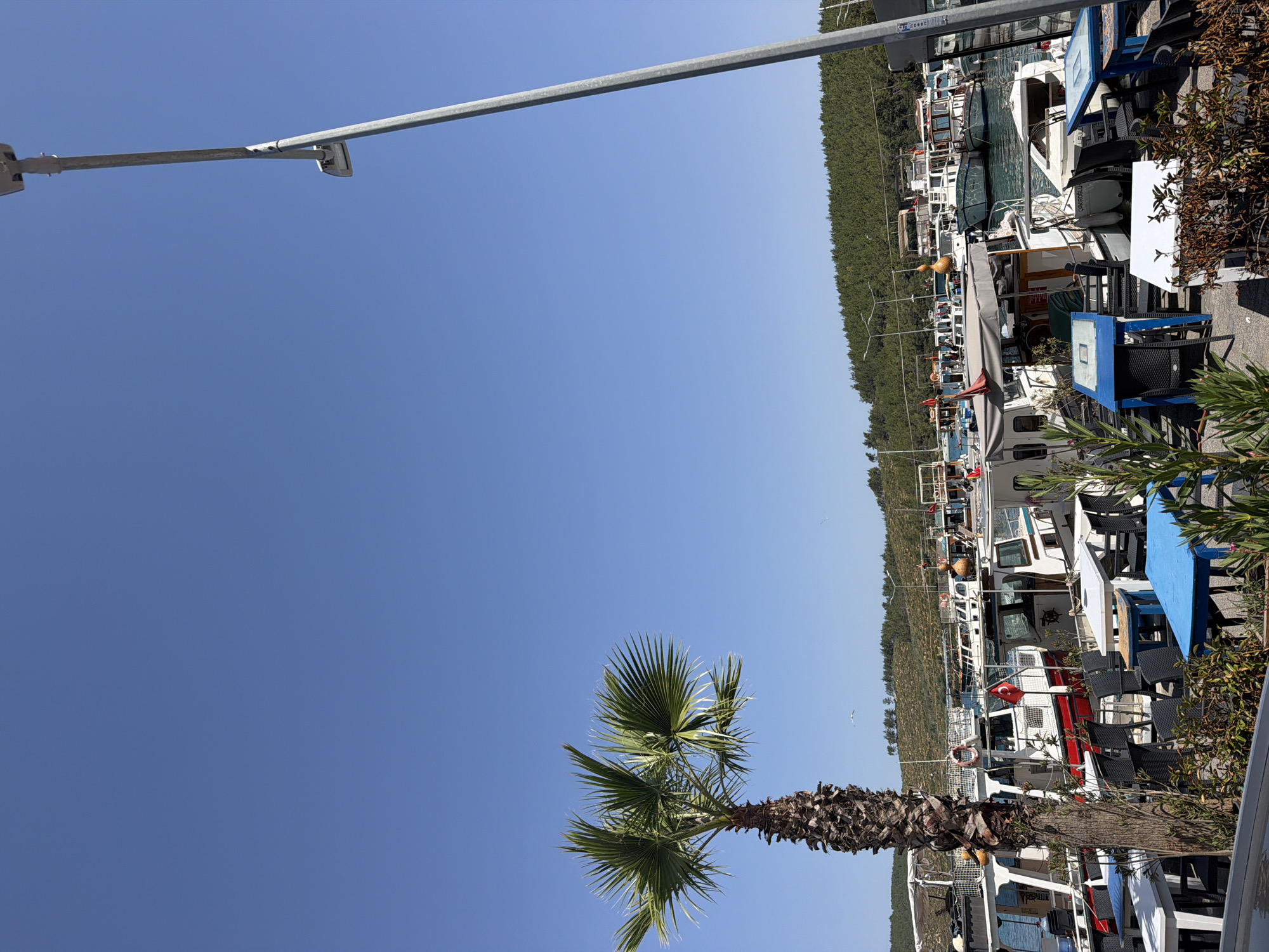 In Bodrum, Turkey, a harbor scene unfolds under a clear blue sky. A tall palm tree stands on the left, its fronds spread against the vast expanse. In the background, a line of boats is moored in the water, their decks and cabins visible. Several tables and chairs are set up in the foreground, suggesting an outdoor seating area for a cafe or restaurant. A tall, gray lamppost on the right side of the image dominates the right half of the frame. The overall impression is one of a tranquil day in a coastal town.