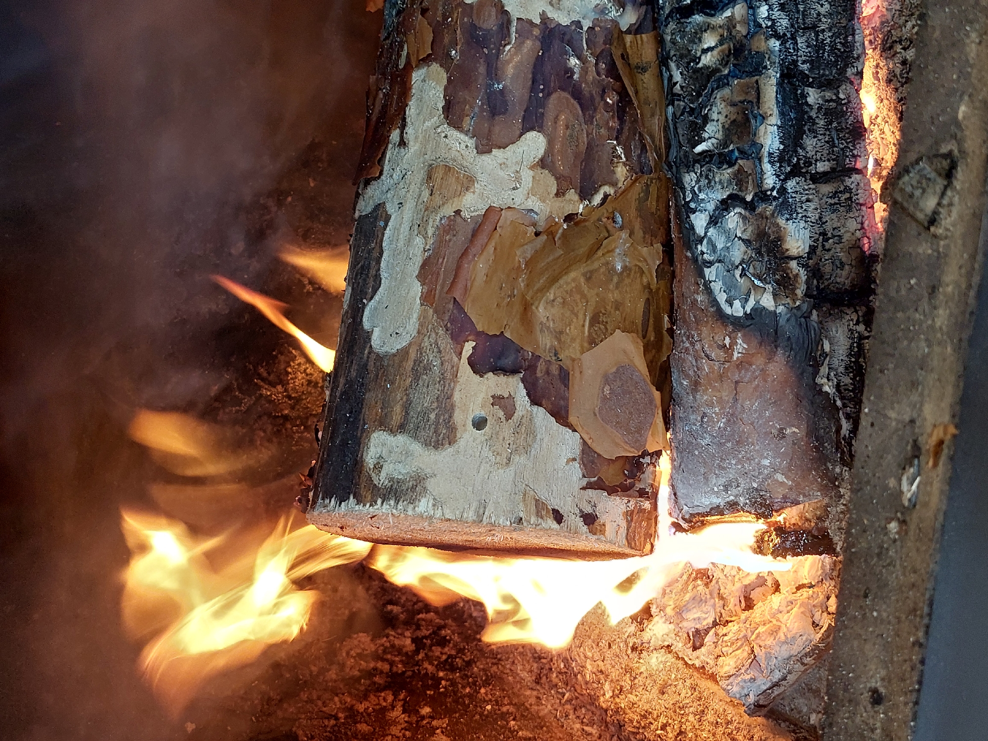 A close-up image shows a fire burning in what appears to be a fireplace or fire pit. Two logs are visible. One log has bark peeling off, revealing lighter-colored wood underneath. The other log is charred and blackened. Flames are rising from the bottom of the frame, enveloping the logs. Ash and embers are visible beneath the logs. The scene appears to be indoors based on the enclosure surrounding the fire. The exact location in Nedelino, Bulgaria is not identifiable. No people are visible.