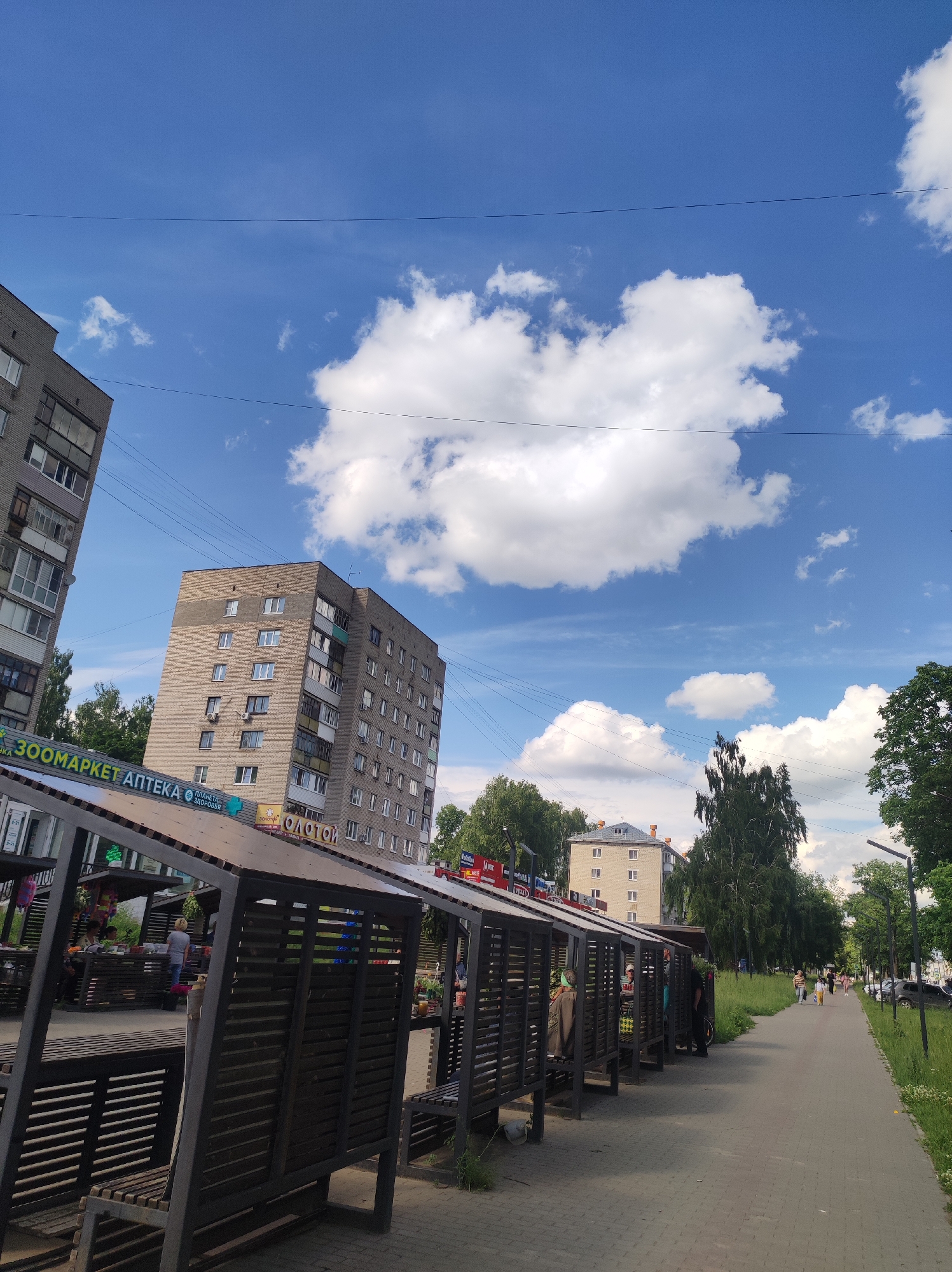 A bright, sunny day in Chaikovsky, Russia, is captured in this vertical outdoor photograph. The scene depicts a paved pedestrian walkway lined with trees and grass on the right. On the left, a covered outdoor seating area with wooden benches and tables is present, suggesting a place for people to rest or perhaps a market stall area. Several people are visible, some seated in the covered area and others walking along the path. In the background, there are multi-story residential buildings, characteristic of urban environments. The sky is a vibrant blue, dotted with fluffy white clouds, indicating pleasant weather. Power lines are visible crisscrossing the sky. Signs on the buildings above the covered seating area include "ЗОOMАРКЕТ АПТЕКА" (ZOOMARKET APTEKA - a combination of a supermarket and a pharmacy) and "ЗОЛОТОЙ" (ZOLOTOY - meaning "golden"). The overall mood is peaceful and suggests a typical day in a residential neighborhood.