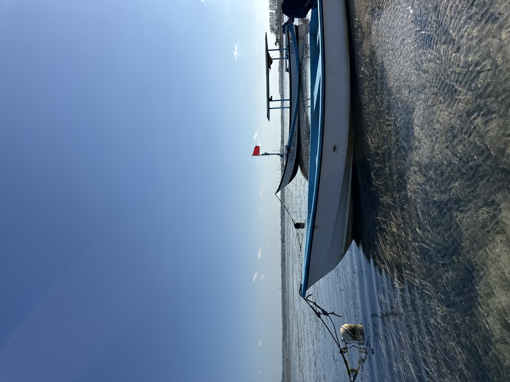 This is a medium-angle, eye-level, wide shot of two boats docked in shallow, clear water on a sunny day. The boats are aligned parallel to each other, with the foreground boat occupying the lower portion of the frame and the background boat further to the right.
The foreground boat is white with a blue trim and is partially submerged, its hull visible above the waterline. It is tethered to a buoy and a mooring line that extends out of frame to the left. The water is shallow, revealing rippled sand and seaweed on the bottom.
The background boat is also white with blue trim and has a dark canopy supported by poles. A red flag is visible on a pole at the front of this boat, which is labeled "SARI ARIA" and "#YUHUU". A black outboard motor is attached to the stern of this boat. The water in the background appears to be a mudflat, with distant trees and structures visible on the horizon. The sky is clear and blue with a few wispy clouds. The overall scene suggests a tranquil coastal environment, likely in a location such as Sanur Beach or a similar area within Denpasar, Indonesia, known for its shallow waters and traditional fishing boats. There are no people visible in the frame.