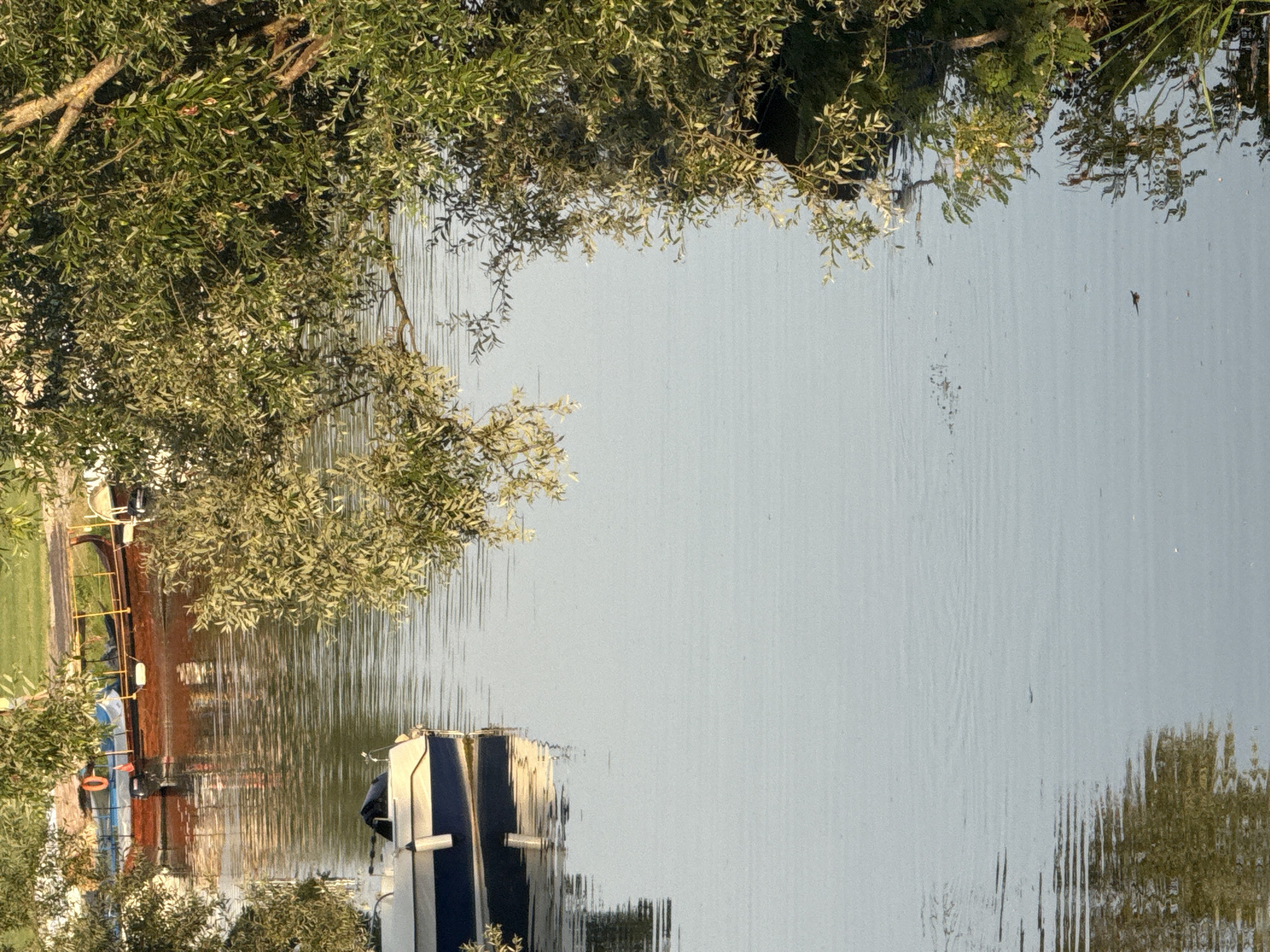 This is an outdoor, vertical, medium shot photograph taken at eye level, capturing a serene river scene in Virpazar, Montenegro. The water is calm, reflecting the surrounding foliage and the sky with subtle ripples disturbing the surface. On the left side of the image, a small white and blue motorboat is docked, its bow pointing towards the viewer. Further in the background, several other boats, including a longer, wooden vessel with a canopy, are moored along the riverbank. Lush green trees with long, slender leaves overhang the water from the right, casting dappled shadows. The foliage appears healthy and vibrant, suggesting a temperate climate. The lighting indicates it might be late afternoon or early morning, with soft, warm sunlight illuminating the scene. The overall impression is one of tranquility and natural beauty.
