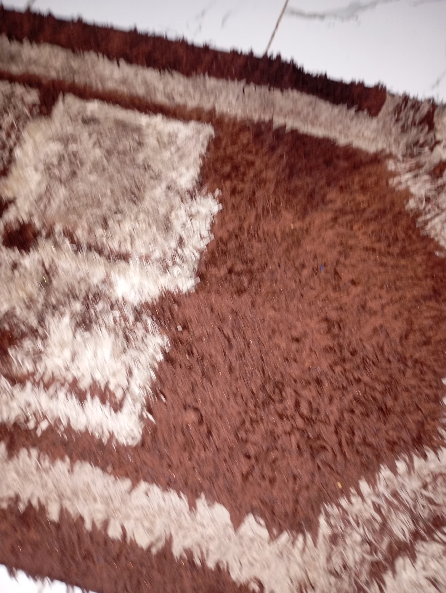 This image shows a close-up, angled view of a shaggy rug with alternating bands of dark brown and off-white. The rug is placed on a light-colored, possibly tiled surface, suggesting an indoor environment. The texture of the rug is characterized by long, soft fibers that create a plush appearance. The lighting suggests the image was taken in ambient light, and there are some minor blurs and distortions, indicating movement during capture. No people, specific landmarks, or contextual environmental details related to New Stadium, Nigeria are visible in this image.