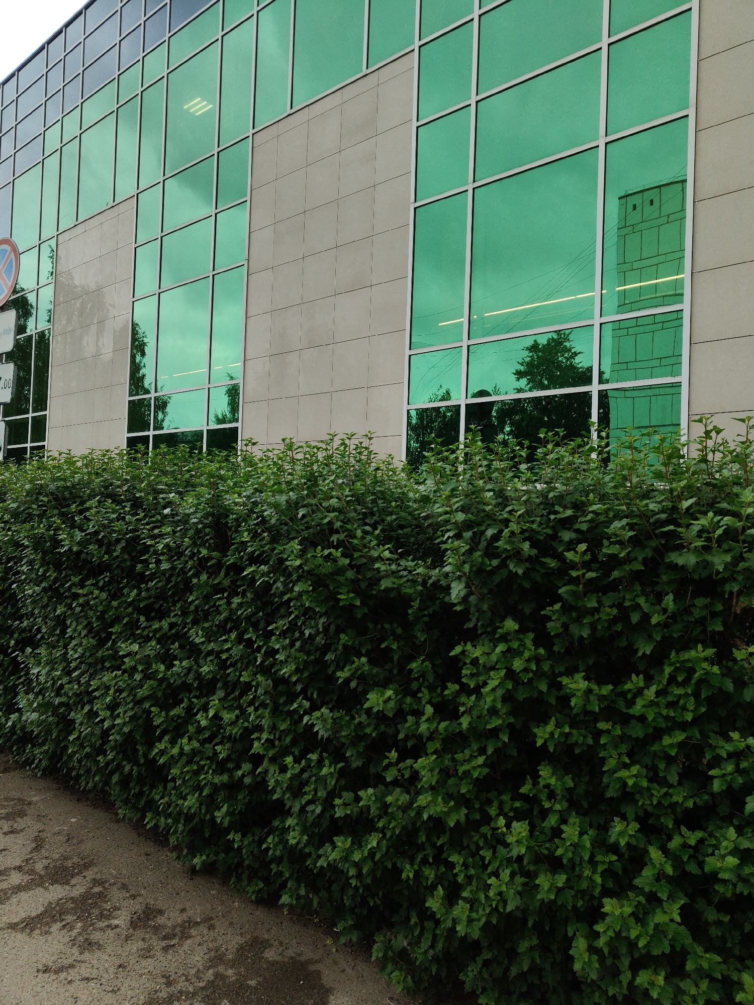The image depicts an exterior view of a modern building with a dense green hedge in the foreground, located in an unknown city. The building features a facade composed of large, rectangular windows with a distinct green tint, framed by light grey mullions and integrated into a structure of light grey, square-patterned panels. The upper section of the building, visible through reflections, shows windows with darker frames.
The green-tinted windows strongly reflect the surrounding environment. Prominent reflections include a tall, light-colored building with multiple windows, trees with dark foliage, and horizontal fluorescent light fixtures from the interior of the depicted building. On the far left, a partial reflection of a white and red circular sign, possibly a "no parking" sign, is visible along with white text including "0.00".
In the foreground, a neatly trimmed, dark green hedge extends across the width of the image, obscuring the lower portion of the building. The hedge is densely packed with small, ovate leaves. To the left and bottom, a light brown, uneven ground surface, possibly a dirt path or unpaved area, is visible alongside the hedge. The scene is illuminated by daylight. No people are visible.