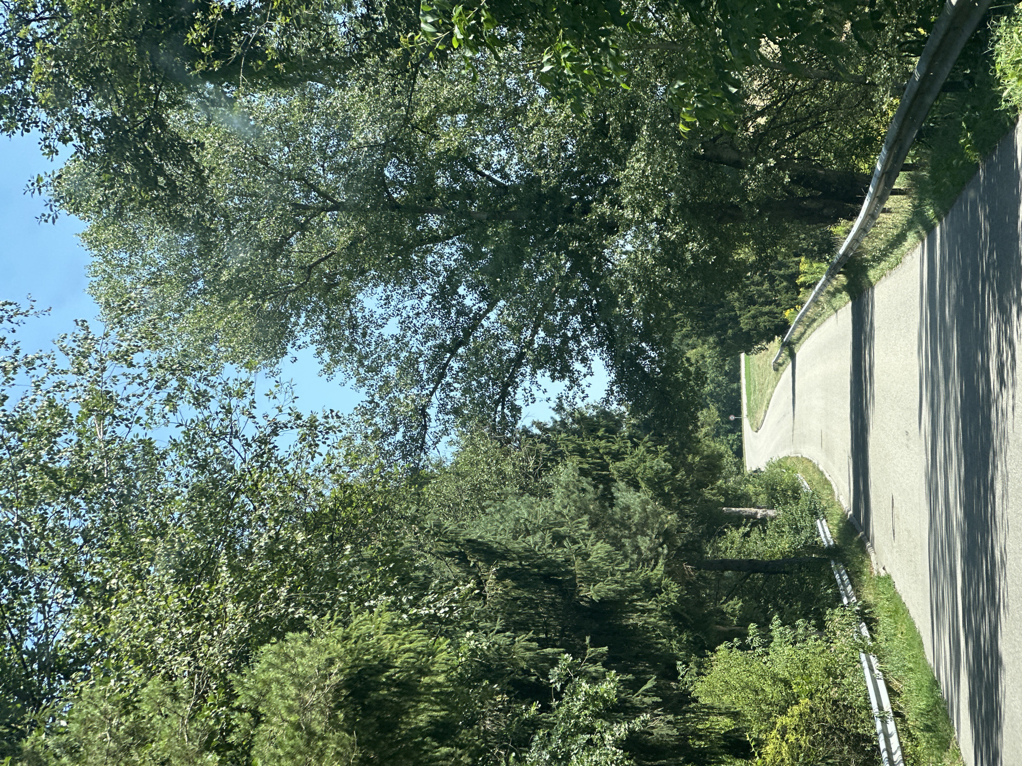 The image shows a paved road winding through a tree-lined area. The trees are dense and green, with some taller trees reaching towards a clear blue sky. A metal guardrail runs along the side of the road. The road appears to be in a rural or suburban setting, possibly outside of the city of Söchtenau, Germany, based on the provided location context. The lighting suggests it is daytime, and the scene is peaceful and natural. There are no people or animals visible in the image. The road is empty, with shadows cast by the trees falling across the pavement.