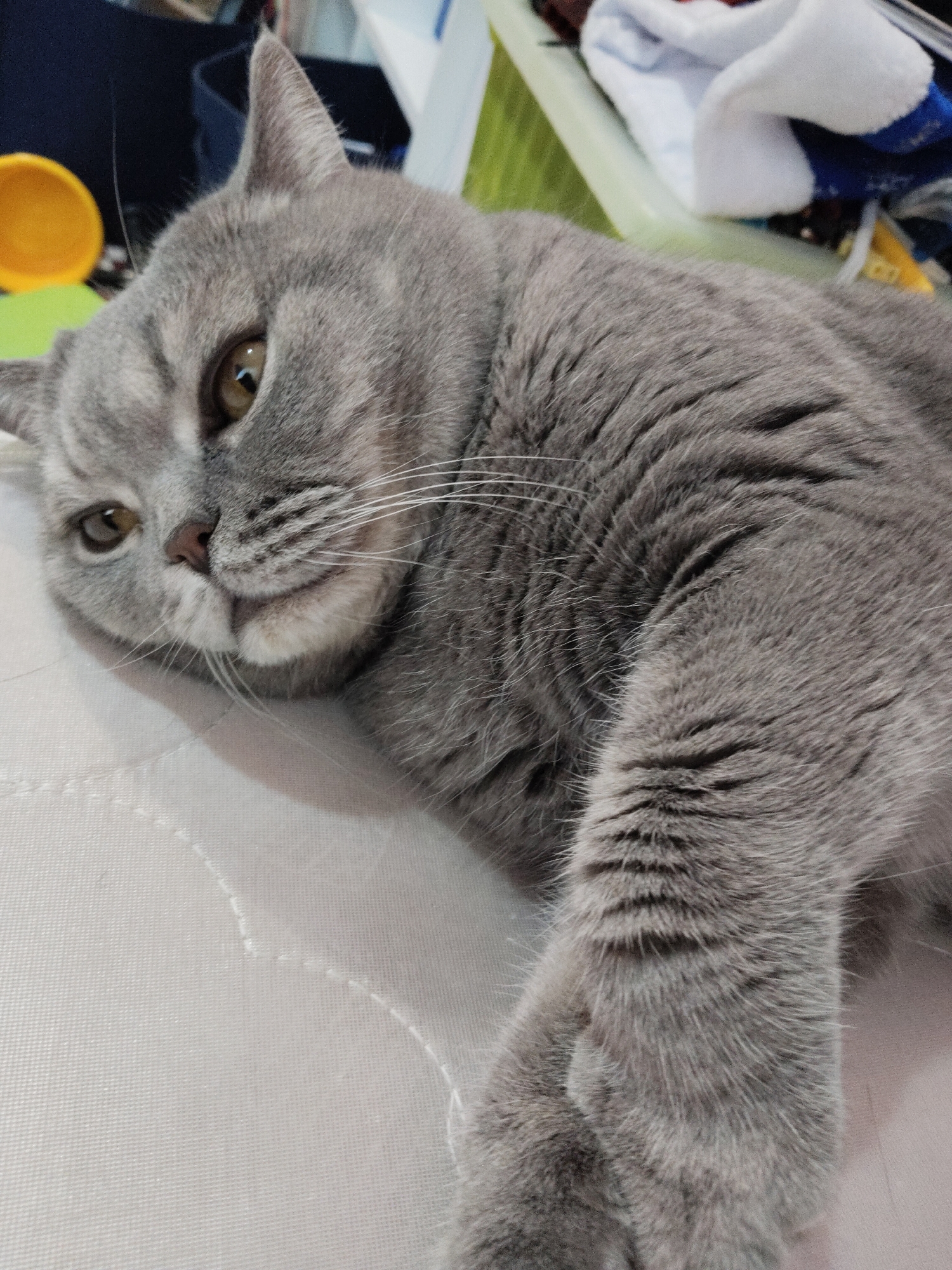 A gray British Shorthair cat is lying on a white quilted surface. The cat is positioned in the foreground, facing slightly toward the left of the frame, with its head resting on the surface and one paw extended. The cat's fur appears soft and dense. In the background, there are blurred objects including what appears to be a yellow container, a green basket or bin, and some folded clothing. The image does not contain sufficient information to determine the location or city.