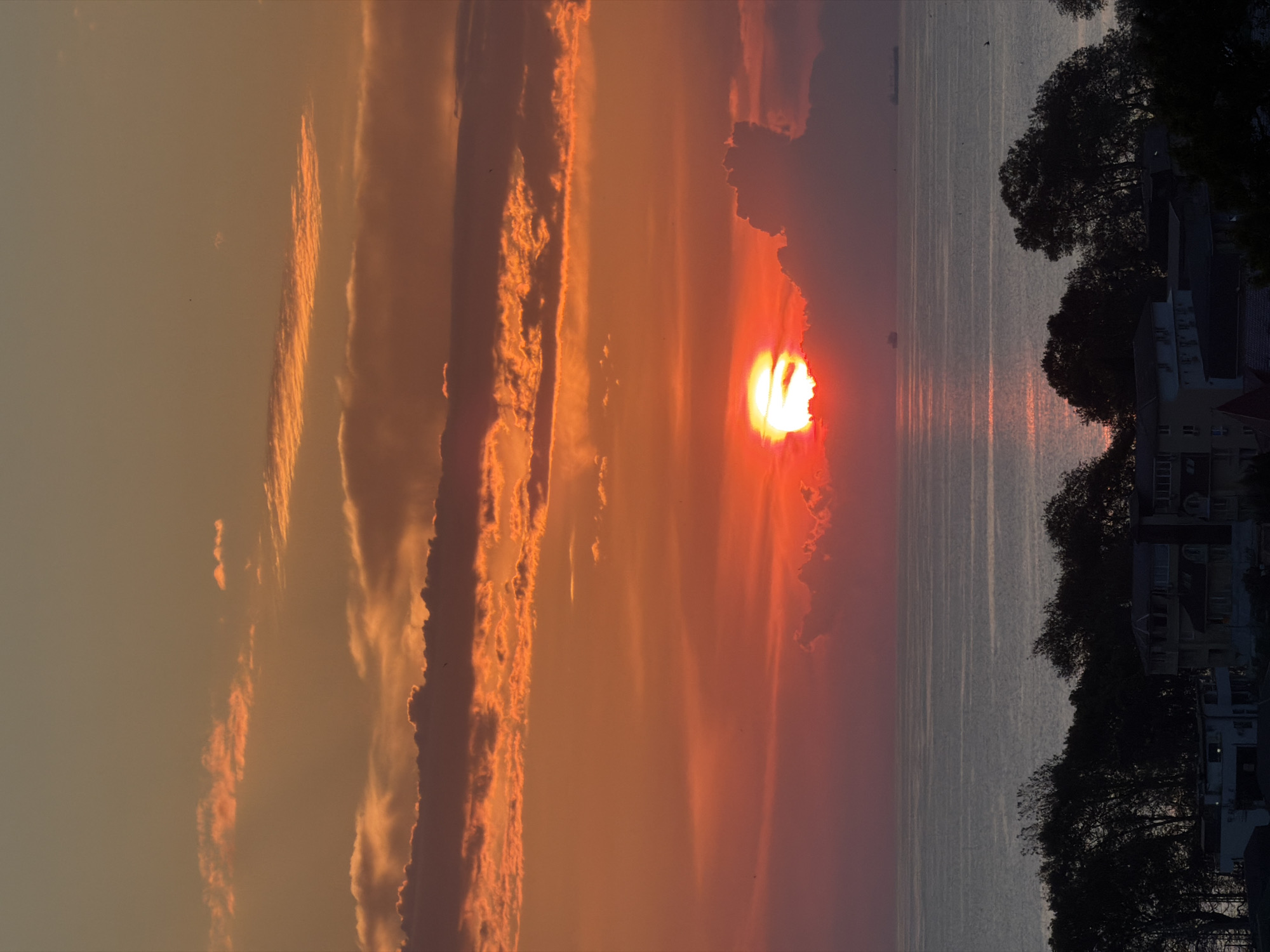 This vertical, low-angle, full shot captures a vibrant sunset over the Black Sea, as viewed from the city of Sochi, Russia. The sun, a brilliant orb of fiery orange, is partially obscured by thick, dramatic clouds tinged with red and orange hues. The sky above is a gradient of warm oranges and soft yellows, with layers of clouds creating a sense of depth and texture. Below the sky, the calm sea reflects the warm colors of the sunset, with subtle ripples disturbing the surface. In the distance, two large ships are visible on the horizon. The foreground features a dark silhouette of trees and the rooftops of buildings, suggesting a coastal urban environment. The overall impression is one of a spectacular natural event unfolding over a populated coastline.