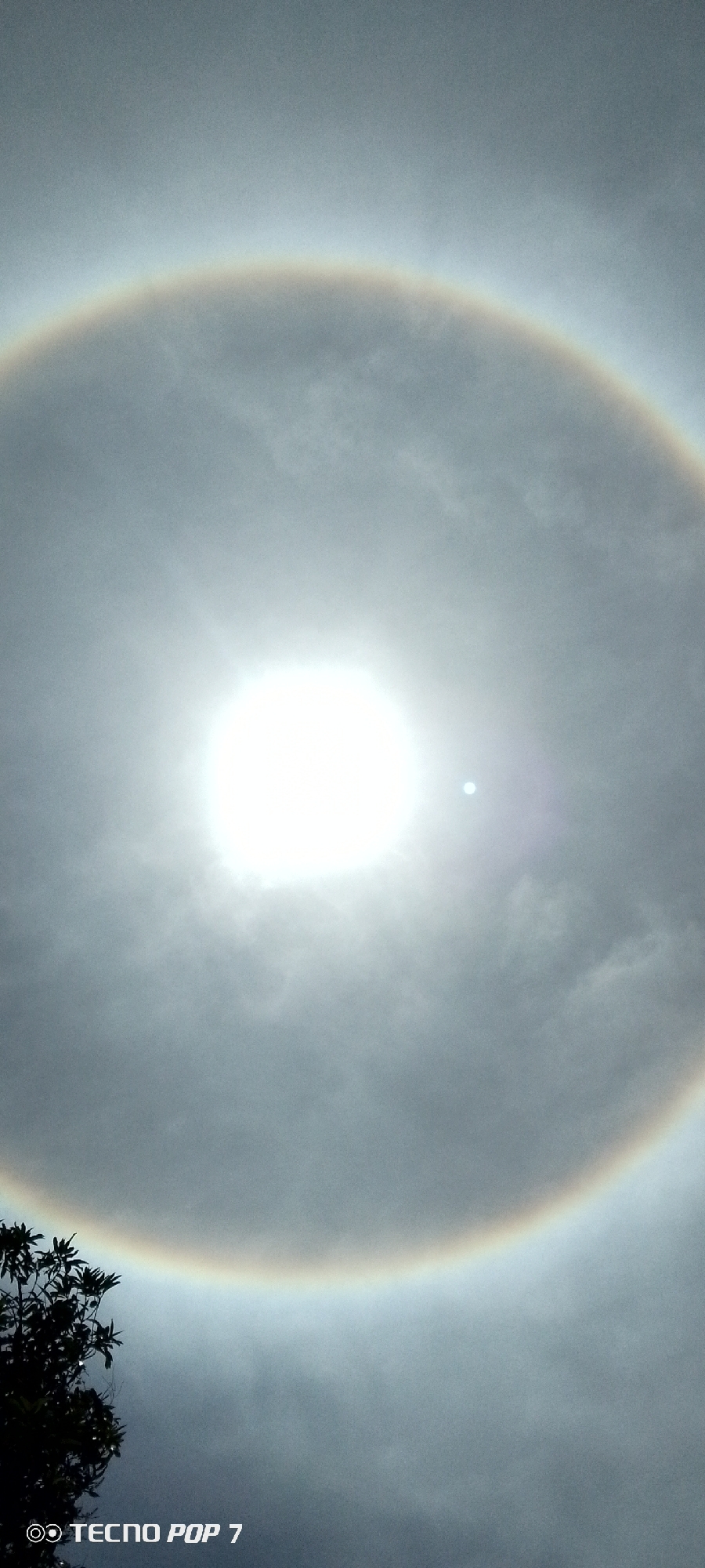A wide-angle shot captures a sun halo—a bright, circular ring of light—surrounding the sun. The halo displays a rainbow spectrum of colors. The sky is overcast with gray clouds. A small tree with dark foliage is visible in the lower left corner of the frame. In the lower left corner are the words "TECNO POP 7". The image, taken in Altagracia, Venezuela, portrays a natural atmospheric phenomenon.