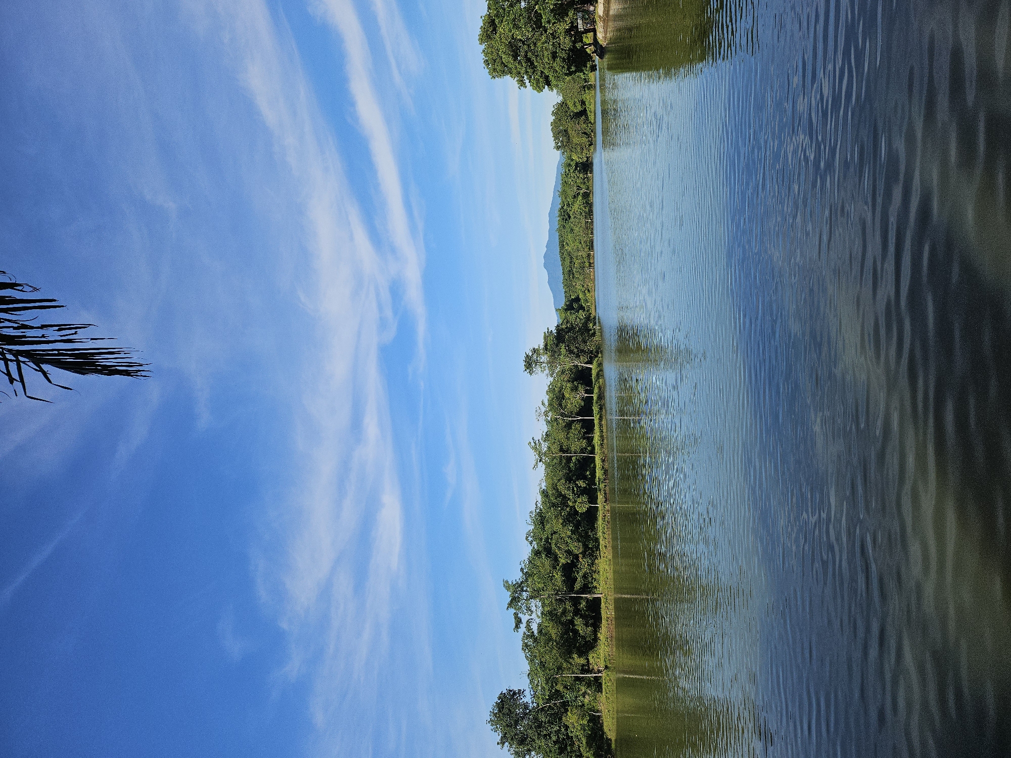The image depicts a body of water, likely a lake or pond, with a treeline along its bank. The sky above is bright blue with streaks of white clouds. A palm frond is visible in the upper left corner. The scene is located in Jasinga, Indonesia. The water surface is rippled, reflecting the sky and trees. A hill is visible in the distance.