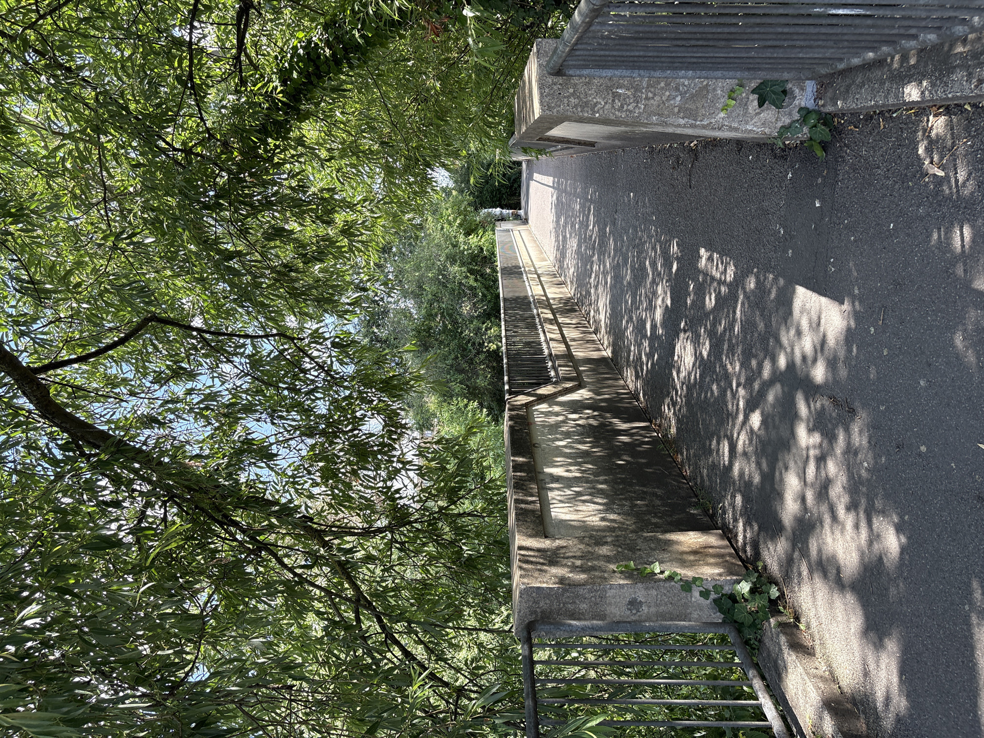 The image depicts a pathway lined with a concrete barrier and a metal railing, viewed from a low angle looking upwards. Lush green foliage from overhanging trees drapes over the scene, casting dappled shadows on the asphalt pathway. The sunlight filtering through the leaves suggests it is daytime, likely a sunny or partly cloudy day. The path appears to be part of a walkway or bridge, with a set of stairs visible in the distance. Some ivy plants are growing along the concrete barrier, adding to the natural elements. The overall impression is one of a peaceful, outdoor setting, perhaps a park or a riverside path. The orientation of the image is rotated 90 degrees clockwise.