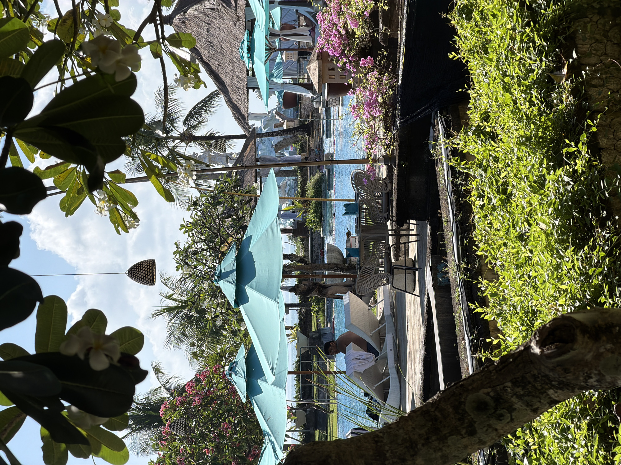 The image depicts a resort-like outdoor setting in Kuta, Indonesia. In the foreground, a tree branch with leaves and white flowers frames the scene. Beyond, several light blue umbrellas shade lounge chairs by a swimming pool. One person is visible, seated in a lounge chair, partially obscured by an umbrella. In the background, a thatched roof structure is visible, along with palm trees and pink flowering bushes. The overall impression is of a relaxed, tropical vacation setting.