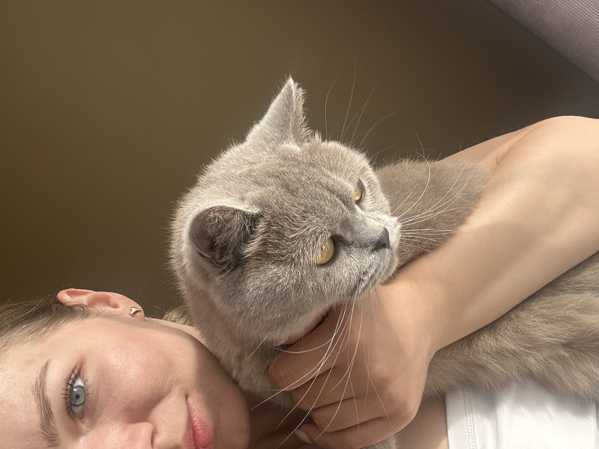 This close-up image portrays a tender moment between a person and a cat, likely set indoors in Ternopil, Ukraine. The primary subjects are a young person, partially visible from the forehead to the chin, and a light grey cat.
The person's face, seen from a low angle, features a clear, piercing blue eye, fair skin, and natural facial features with minimal makeup (visible mascara and light pink lips). A small, heart-shaped stud earring adorns their left ear. Their arm is wrapped around the cat, holding it gently.
The cat, which appears to be a British Shorthair due to its dense, soft grey/lavender fur and rounded head, is resting comfortably on or beside the person. It looks away from the camera, revealing striking yellow-amber eyes and long, prominent white whiskers. Its ears are small and pointed, typical of the breed. The overall posture of both subjects suggests a calm and affectionate interaction.
The background consists of a plain, warm brown wall or surface, implying an indoor environment. Soft, natural lighting illuminates the scene, indicating daytime. The image conveys a sense of peace, companionship, and warmth between the person and their feline friend. No visible text is present.