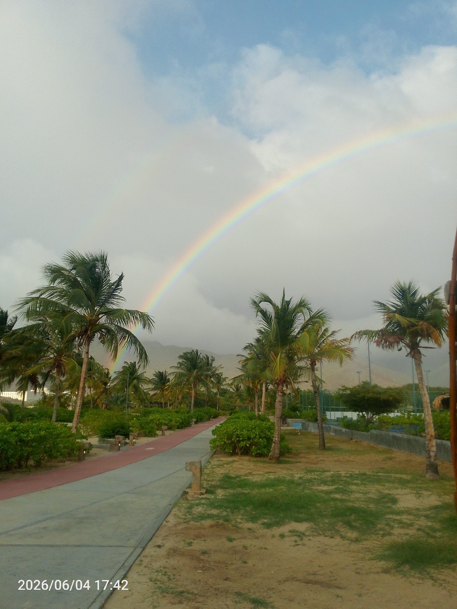 The image displays a vibrant outdoor scene under a partly cloudy sky featuring a prominent double rainbow. Numerous tall palm trees with green fronds populate the foreground and midground, interspersed with lush green bushes and patches of sandy ground with sparse grass. A wide, paved pathway, partially grey concrete and partially a reddish-brown material, curves through the left side of the frame. Small, block-like light fixtures are visible along the path's edge.
In the distance, large mountains or hills are visible beneath the cloudy sky. Beyond some trees, parts of a recreational facility, possibly a tennis court with a fence, can be discerned. The sky exhibits a mix of bright blue patches, white clouds, and darker grey formations, indicative of weather conditions that allow for a double rainbow. The primary rainbow is vividly colored, with a fainter, secondary arc visible above it.
No people are present in the scene. The timestamp "2026/06/04 17:42" is visible in the bottom left corner, indicating the time of day as late afternoon or early evening. The overall atmosphere is one of natural beauty and tranquility, suggesting a tropical or sub-tropical resort, park, or coastal area.
