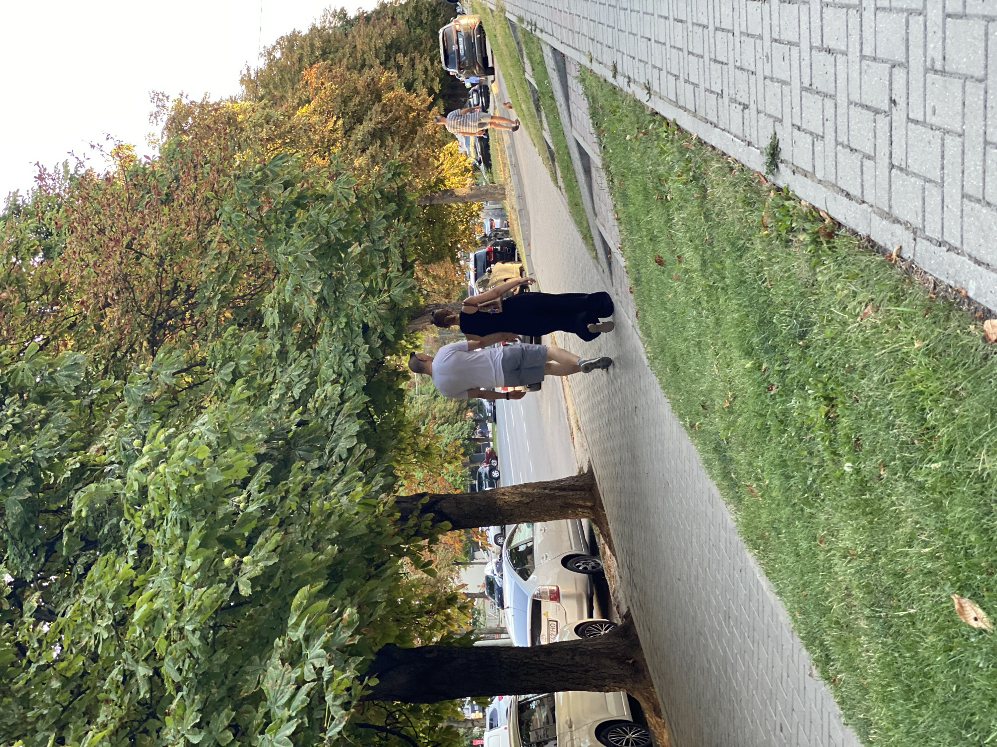 The image depicts a street scene in Chișinău, Moldova, with a tree-lined sidewalk and a road. In the foreground, a paved sidewalk runs alongside a grassy embankment. Several people are visible walking along the sidewalk.
A couple is walking away from the camera towards the right. The man is wearing a white t-shirt and grey shorts, and the woman is wearing a long black dress. They are walking side-by-side. Further down the sidewalk and to the right, another man is walking in the same direction, wearing a striped t-shirt and shorts. A small, light-colored dog is also walking on the grass to the right of this man.
On the road to the left of the sidewalk, several cars are parked and driving. These include a white sedan, a silver sedan, and other vehicles further in the background. The trees lining the sidewalk have green and some reddish-brown leaves, suggesting it might be late summer or early autumn. The sky is bright and appears overcast or hazy. The overall impression is a typical urban street scene during daylight hours.