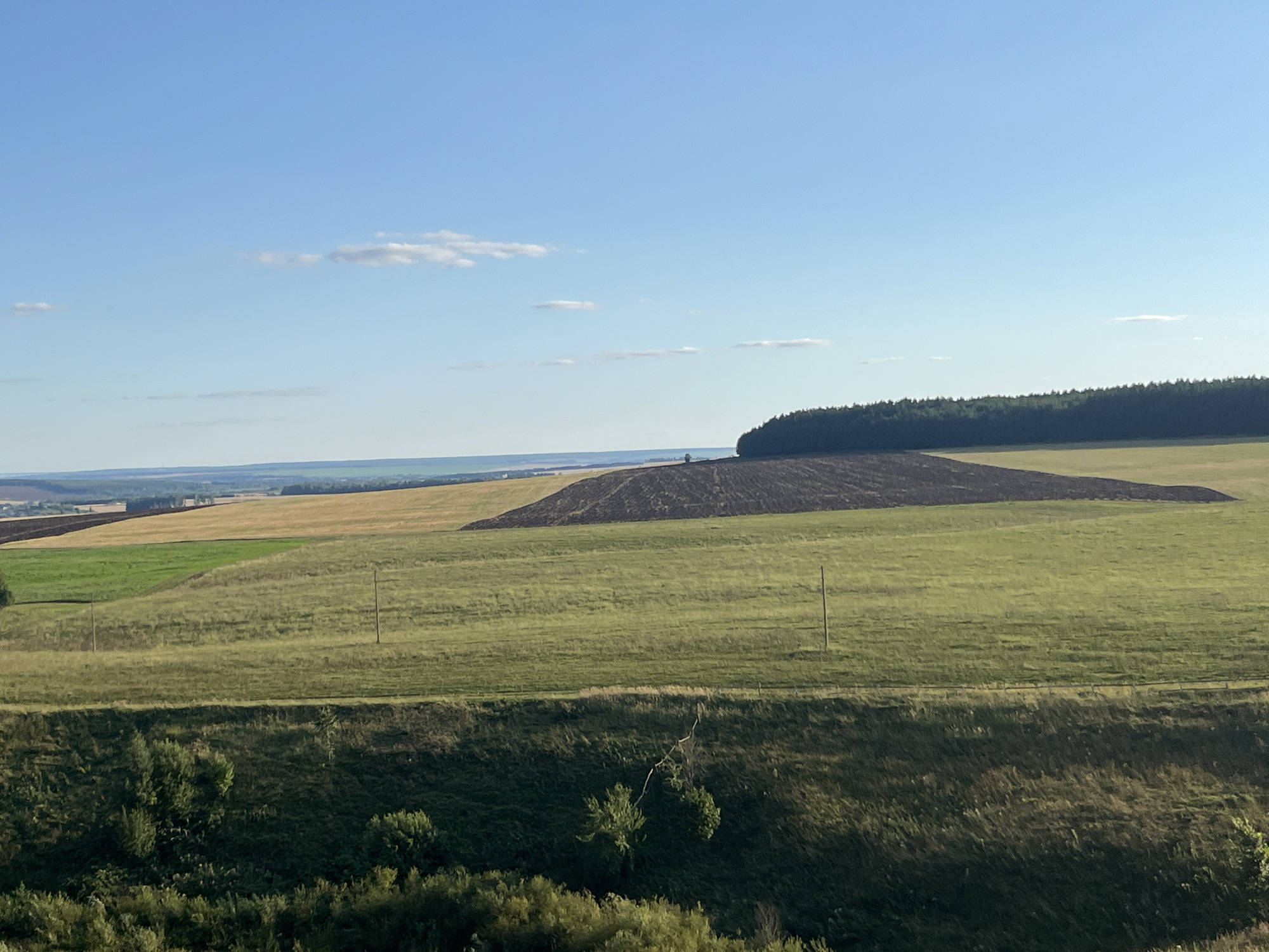 The image depicts a rural landscape under a clear blue sky with scattered white clouds. In the foreground, a grassy slope descends, covered in dense green foliage. Beyond this, a series of agricultural fields stretch into the distance. Some fields are cultivated with a dark, tilled soil, while others are covered in green grass or golden crops. A dark line of trees borders the horizon on the right side of the frame. In the mid-ground, two utility poles stand in the grassy fields. In the far distance, a very small, solitary figure appears to be walking in a tilled field. The overall impression is of a peaceful, rural setting.
