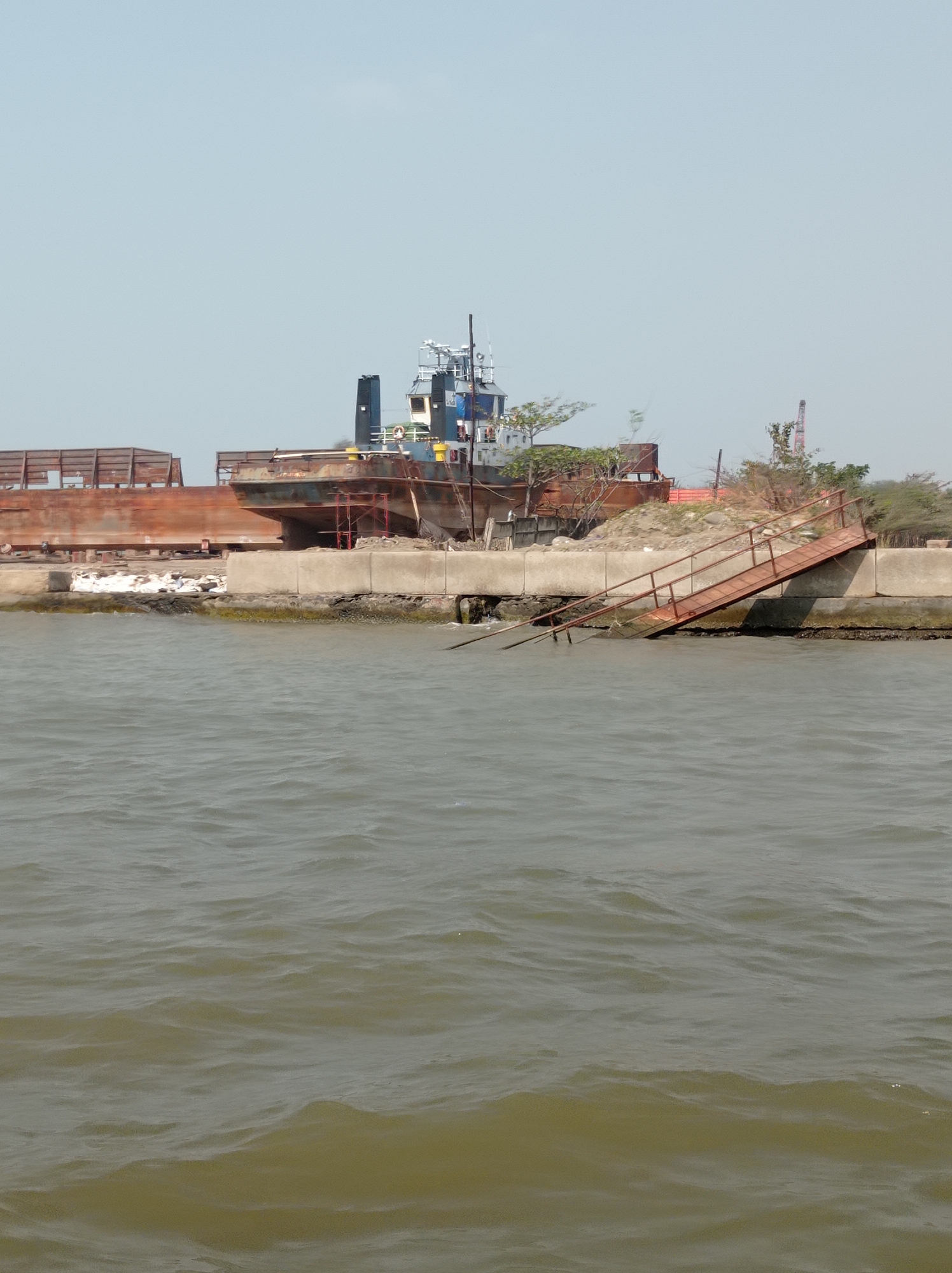 The image depicts a view of the Tegal City harbor in Indonesia, focusing on a ship under repair or construction. In the foreground, the choppy, murky green water of the harbor fills the lower portion of the frame. A weathered, rust-colored metal gangway, partially submerged in the water and resting on the harbor wall, extends diagonally from the right side of the image upwards.
The harbor wall, made of concrete blocks, forms a barrier between the water and the land. Behind the wall, several large ship sections are visible. The most prominent is a partially constructed or decommissioned ship with a distinct blue and white superstructure. It appears to be a tugboat or a similar vessel. Scaffolding is present around parts of this ship, suggesting ongoing work. To the left of this ship, a long, flat, rust-colored ship hull lies horizontally, with its internal structure exposed in places. Piles of dirt and debris are also visible on the land.
The background shows a pale, hazy sky with no clouds. Trees and foliage are sparsely scattered across the scene, and a construction crane can be seen in the distance on the right side of the image, further indicating industrial activity. The overall impression is one of a working harbor with ships undergoing maintenance or construction.