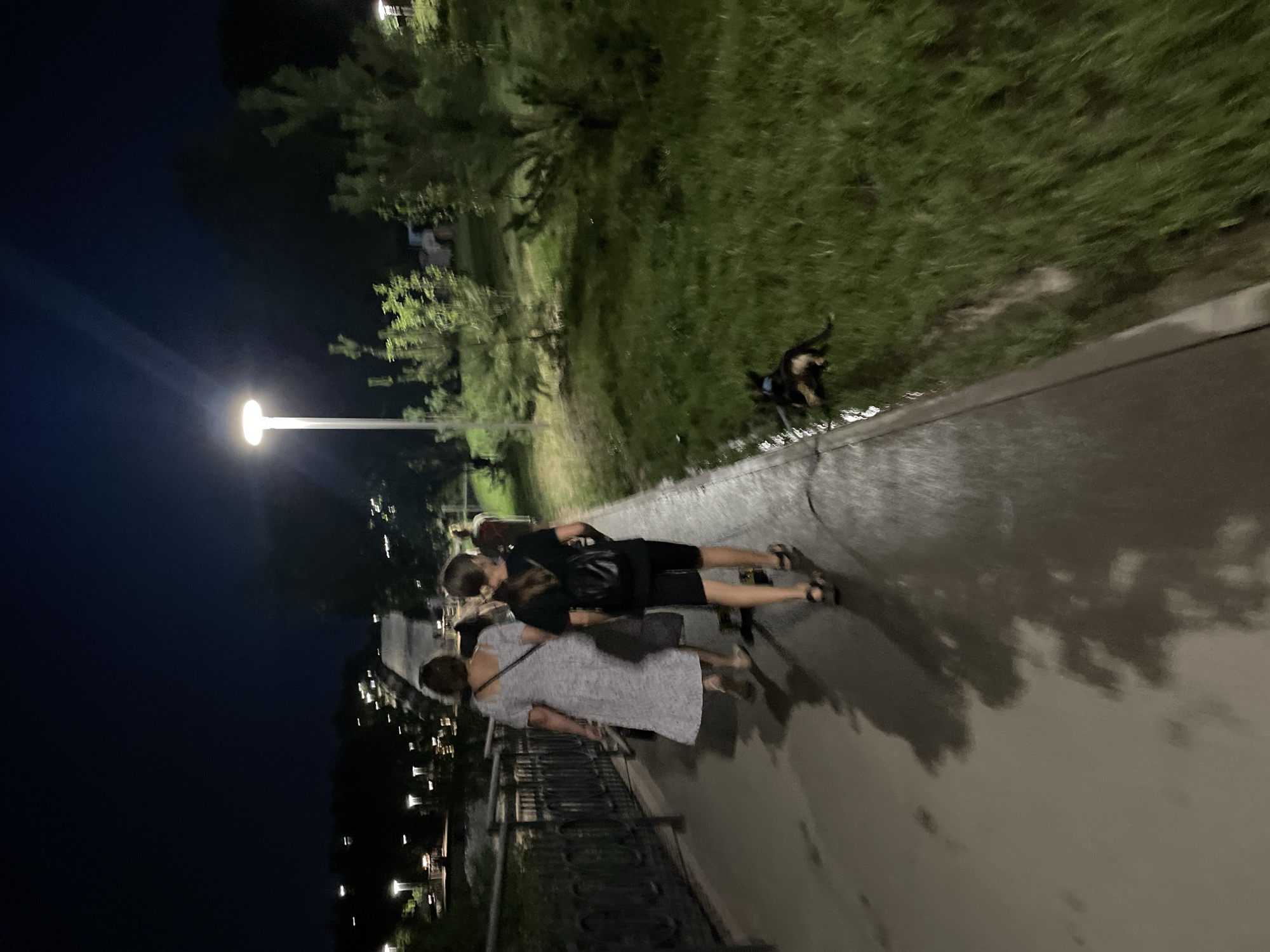 At night, two people walk along a wet paved path bordered by a metal fence on the left and a grassy area on the right. A young person with a backpack walks behind an adult wearing a light-colored dress. Further ahead and to the right, a small dog on a leash lies on the grass. Streetlights illuminate the scene, casting long shadows on the wet pavement. In the background, trees and distant lights suggest an urban park or recreational area, possibly in Almaty, Kazakhstan, given the prompt.