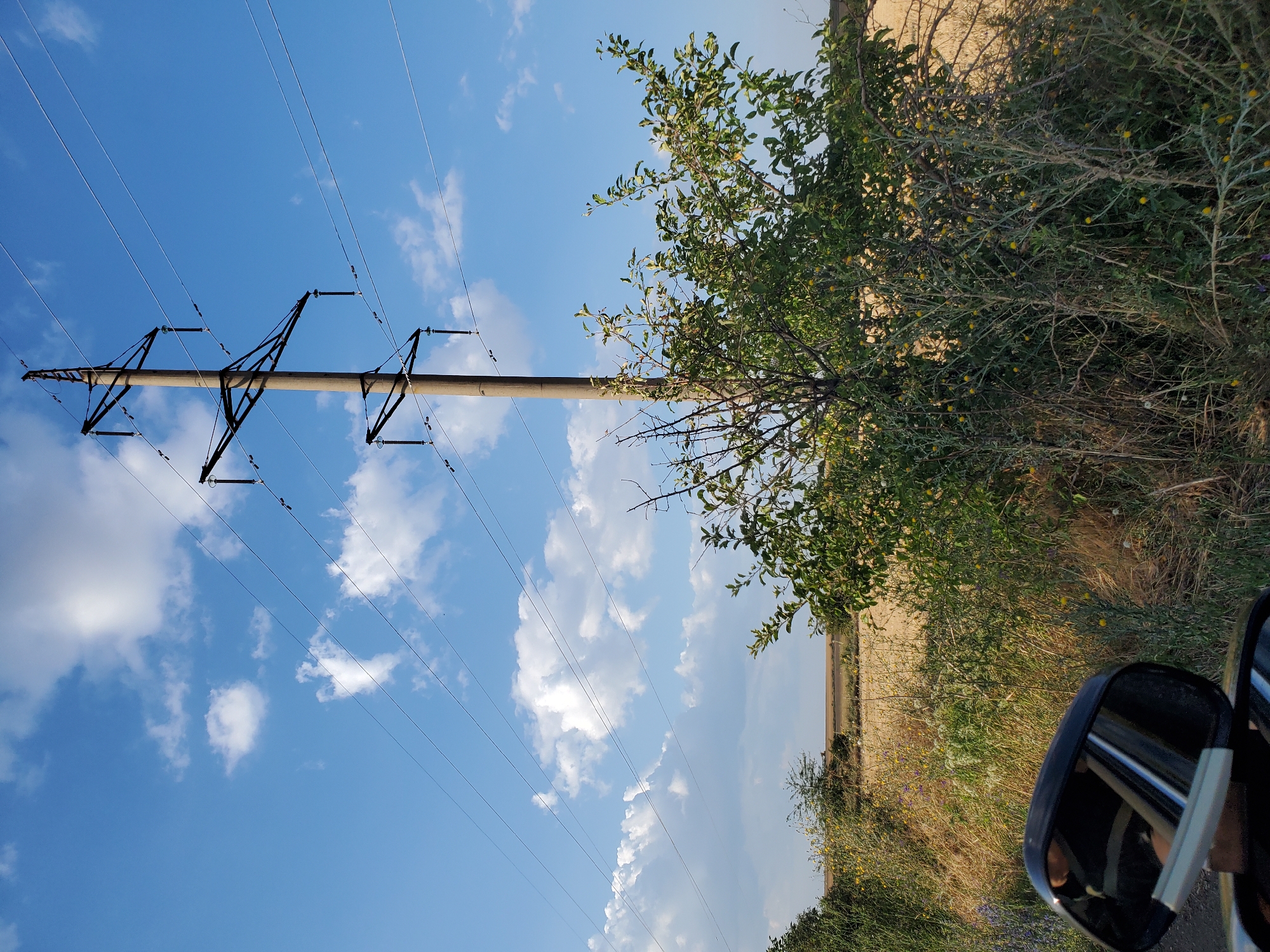 The image depicts an outdoor scene under a bright blue sky with scattered white clouds. A tall, concrete power line pole stands prominently in the center, supporting multiple electrical wires that extend across the frame. In the foreground, on the right, is a dense bush with green leaves and small yellow flowers. To the left, a car's side mirror is visible, reflecting a person and the surrounding environment. Beyond the vegetation and the power pole, a flat, golden field stretches towards the horizon, suggesting a rural or agricultural area. The overall impression is one of a clear, sunny day in a semi-rural setting, possibly on the outskirts of a town like Konstantinovka, Moldova.