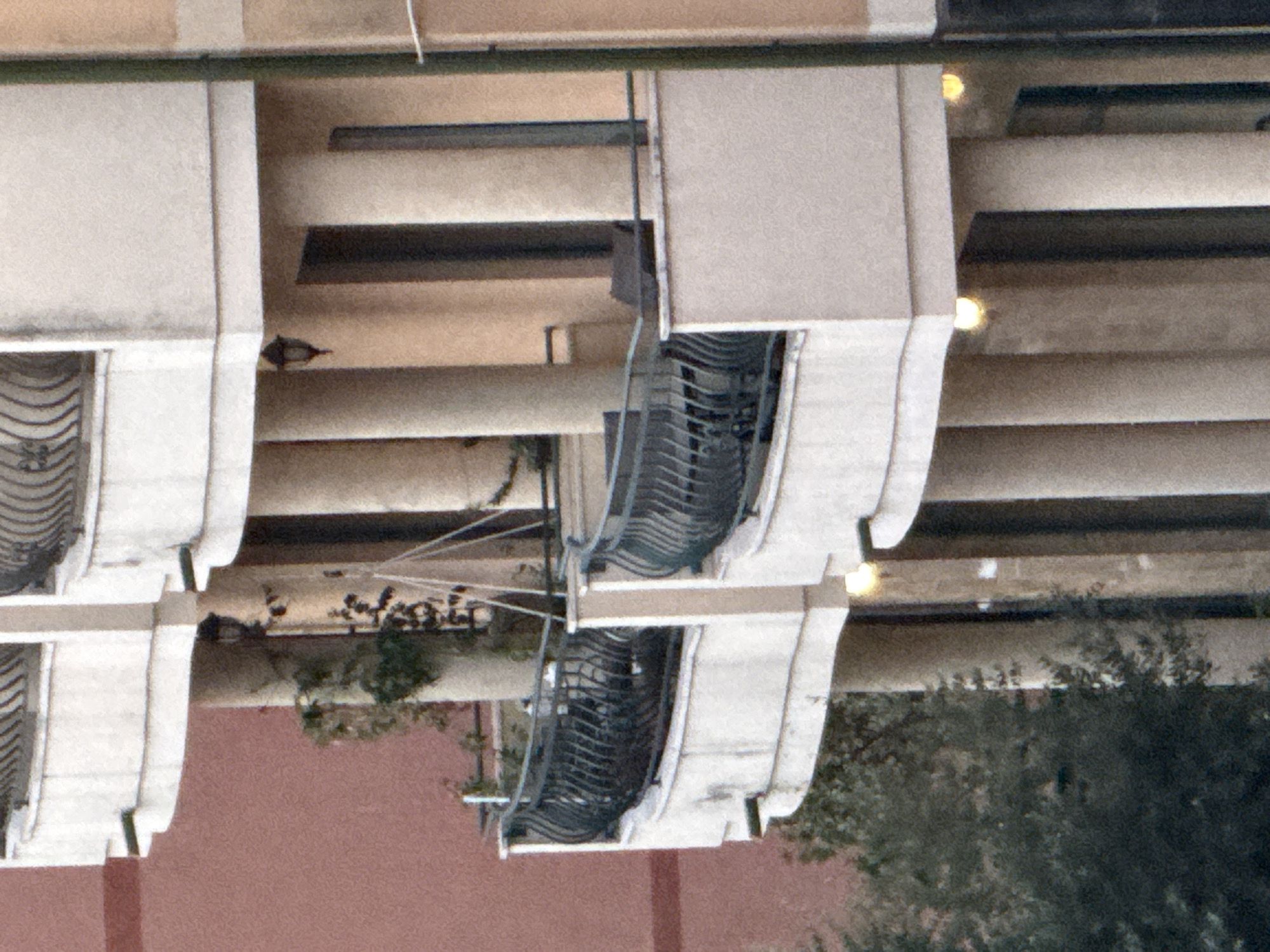 The image shows a close-up view of a modern building facade in Budva, Montenegro, featuring balconies with ornate black railings and cream-colored architectural elements. Two distinct balconies are visible, one appearing to be on an upper floor and the other on a lower level. The upper balcony has curved railings, and some greenery is visible on the left side of the image, trailing down from above. The lower balcony also has curved railings and appears to have furniture, possibly chairs, within it. The building's exterior is characterized by columns and lighting fixtures, with a warm, textured finish. A dark green vertical element, possibly a pipe or structural support, is visible on the far right. The background wall of the building is a muted pinkish-red color.