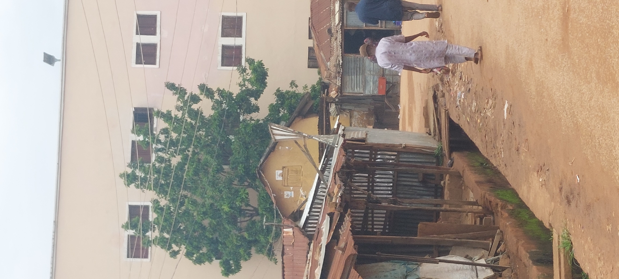 The image depicts a street scene in an urban environment, possibly in a developing area. In the background, a large, light-colored building with multiple rectangular windows is visible. In front of this building, a lush green tree with dense foliage stands out. Below the modern building, older, more rudimentary structures with corrugated metal roofs are present, suggesting a mix of old and new architecture.
The foreground shows a dirt road with a drainage channel running alongside it, containing some green moss or algae. There are two individuals walking away from the camera on the road. The person in the foreground is wearing a light-colored patterned garment and a cap, carrying a bag. The second person, further ahead, is wearing a dark blue garment. Scattered litter is visible on the road and in the drainage channel. The overall impression is a street scene with a juxtaposition of modern and older structures, with people moving through the environment.