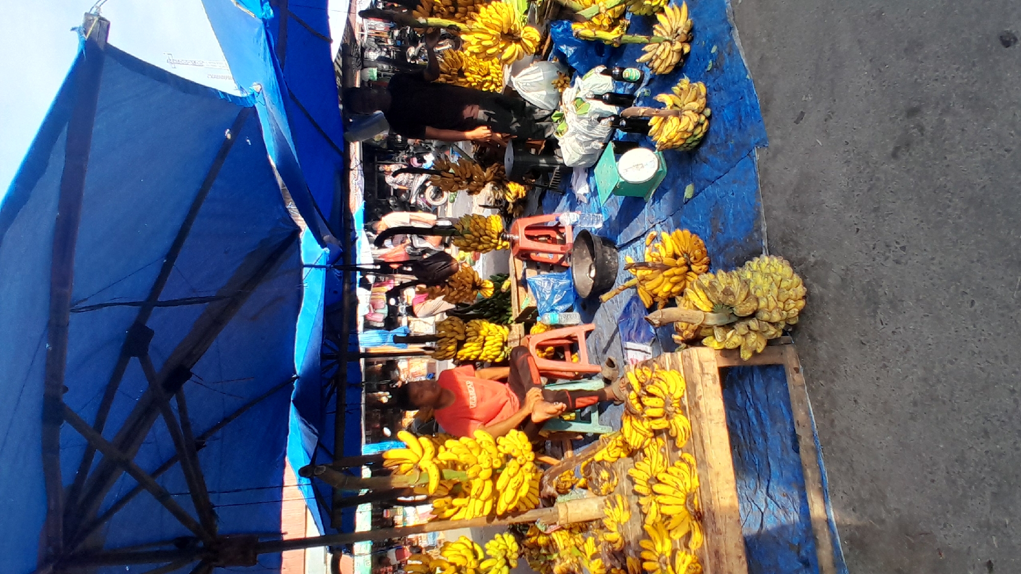 This image depicts a market scene in Lhokseumawe, Indonesia. The primary focus is a banana stall situated outdoors under a canopy of multiple large blue tarpaulin sheets, which are supported by wooden and metal frames. The ground beneath the stall is covered with blue tarpaulins, while the foreground and immediate surrounding area feature a concrete surface.
Two adult males are visible within the stall area. On the left, a male wearing an orange t-shirt and dark pants is seated on a small red plastic stool, facing right. He appears to be a vendor. On the right, another male wearing a black t-shirt and dark pants stands behind a display of bananas, facing slightly left. He is positioned next to a green mechanical scale with a circular face.
The stall is abundantly stocked with ripe yellow bananas, displayed in large bunches. Many bunches are arranged on a low wooden table in the foreground-left, while others are stacked directly on the blue tarpaulin ground covering, often with their stems pointing upwards. Several large bunches are also suspended from the overhead structure.
Other objects present on the blue tarpaulin include a black basin, multiple clear plastic water bottles, two dark glass bottles (possibly containing beverages or sauces), and a white plastic bag. In the background, beyond the immediate stall, additional market activity is visible, including other vendors or customers, more market structures, and a parked motorcycle. The lighting suggests daytime conditions.