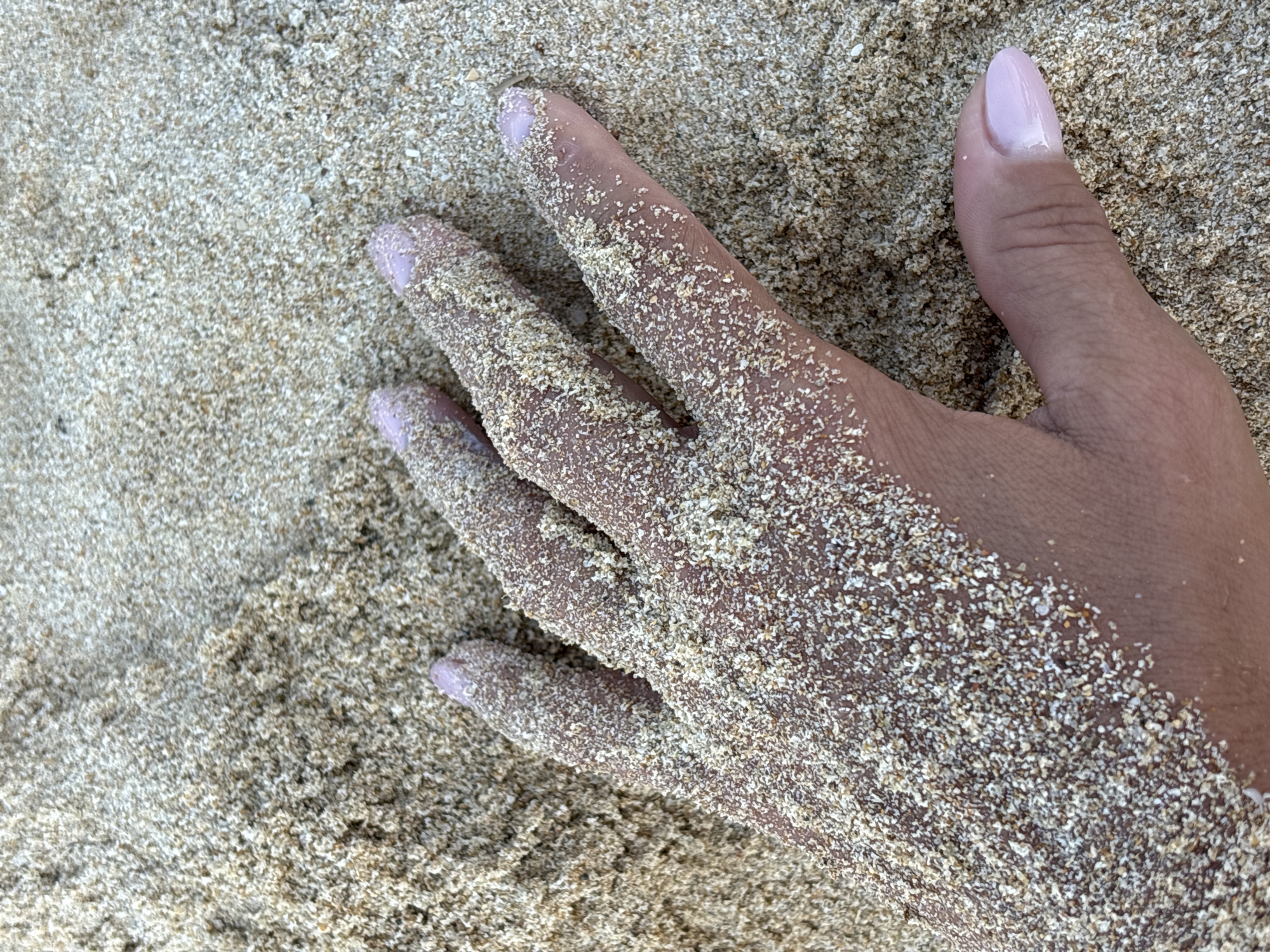 A close-up, high-angle shot shows a person's left hand partially buried in light brown sand. The sand is granular and textured, with a mix of light and dark grains. The hand is positioned in the lower left quadrant of the frame, with the fingers spread slightly and pointing towards the top right. The fingers are covered in sand, with individual grains clinging to the skin. The fingernails are painted a light pink color and appear neatly trimmed. The thumb is visible on the right side of the frame, also covered in sand. The background is entirely composed of the same light brown sand, with subtle variations in texture and shading, suggesting an outdoor environment, possibly a beach. There is no indication of any specific location within Jiyang District, China, as the scene is generic and lacks distinguishing features.