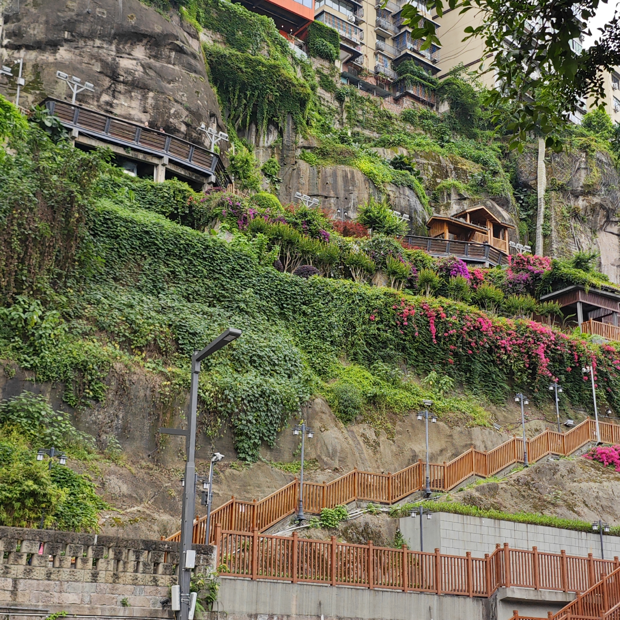 The image depicts the cliffside architecture of Hongyadong in Yuzhong District, Chongqing, China. A steep, rocky slope is covered with dense vegetation, including ivy and flowering plants. Several wooden structures, including viewing platforms and small buildings, are built into the hillside. A long, wooden staircase ascends the slope, lined with streetlights. A stone wall is visible at the base of the slope. The architecture of nearby buildings is visible at the top of the cliff. A modern lamppost with mounted lights is positioned near the bottom left of the image.