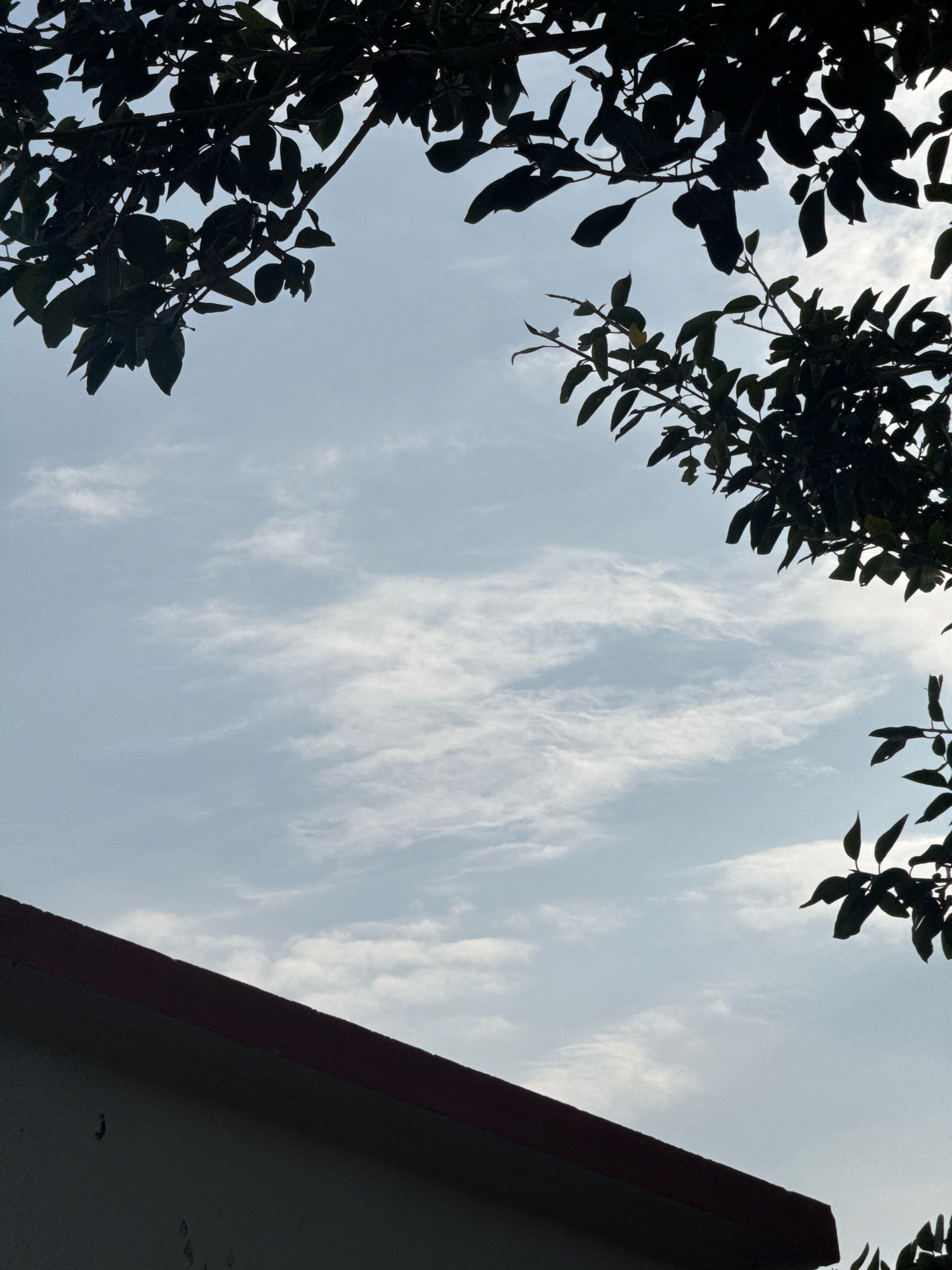 The image captures a slightly overcast sky with wispy clouds, framed by the dark silhouettes of tree branches and leaves in the upper corners. In the lower left, the dark, angled roofline of a building is visible, its textured wall showing in shadow. The scene appears to be outdoors, possibly in a residential area of Ettimadai, India, given the architectural style and the presence of trees. There are no people or animals visible in the frame.