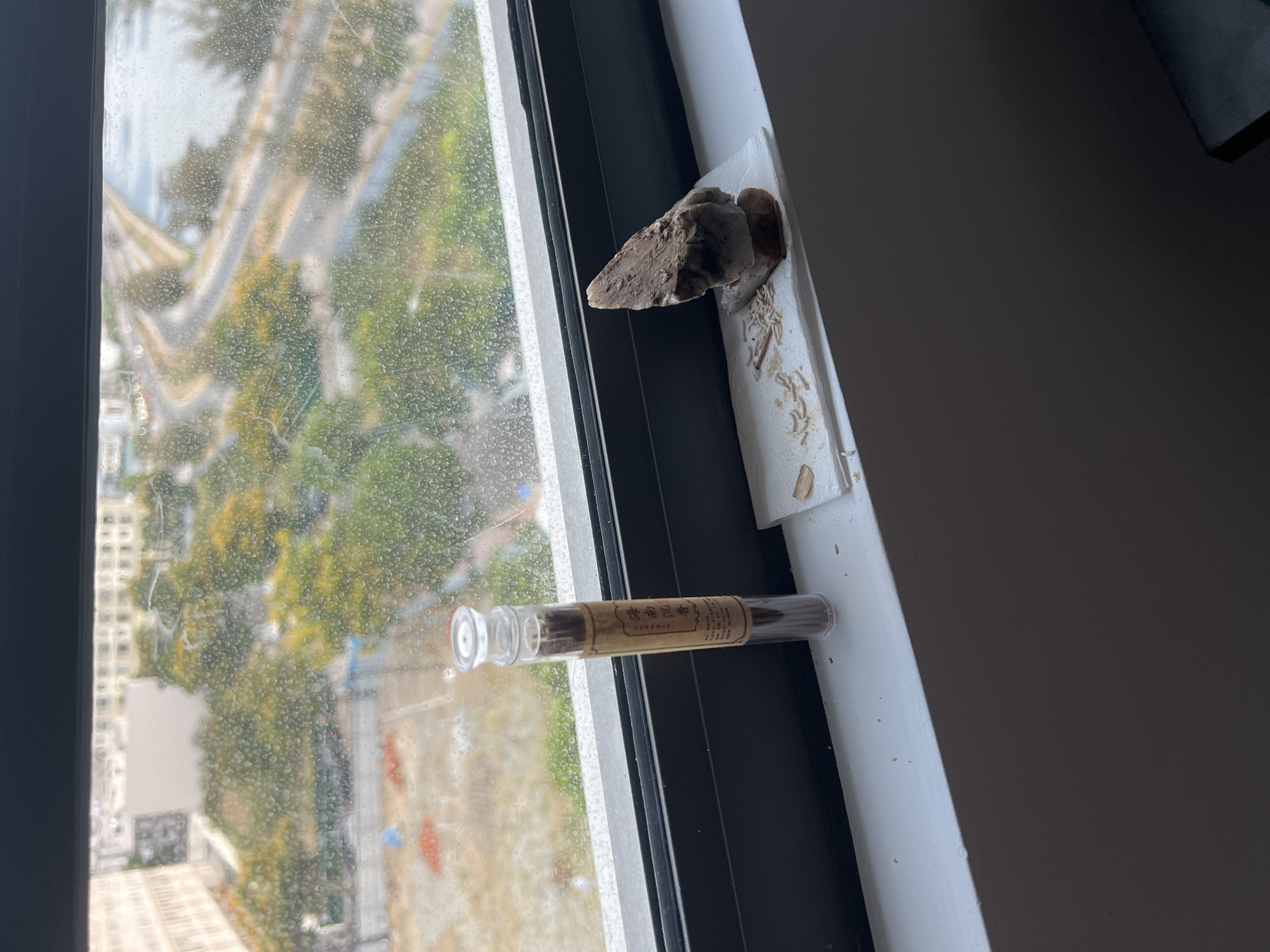 The photograph, taken indoors and looking out a window, features a view of what appears to be an urban or suburban area. This location can be inferred to be near Nam Natural Heritage Area Trang, Vietnam from context clues (location). The window has noticeable condensation or water droplets on the glass. The visible landscape contains buildings, trees, and roads. On the window sill, an assortment of objects includes a rock, a small collection of insect remains, and a cylindrical container filled with brown sticks, potentially incense, featuring foreign text on the label. The surrounding environment indicates an interior space with dark window frames and gray walls.