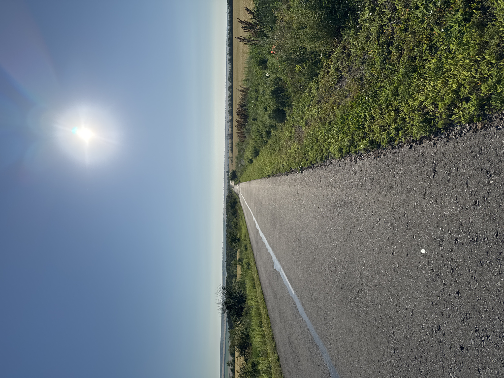 The image depicts a straight, paved road with a white line running down the center. The road is bordered by green grass and vegetation on the right, with a field of golden grain visible in the distance. On the left side, there are trees and more green vegetation. The sky is clear and blue, with a bright sun shining high in the upper right portion of the image. The overall scene suggests an outdoor, rural environment, possibly a country road near Shemetove, Ukraine. There are no people or specific actions captured in the image.