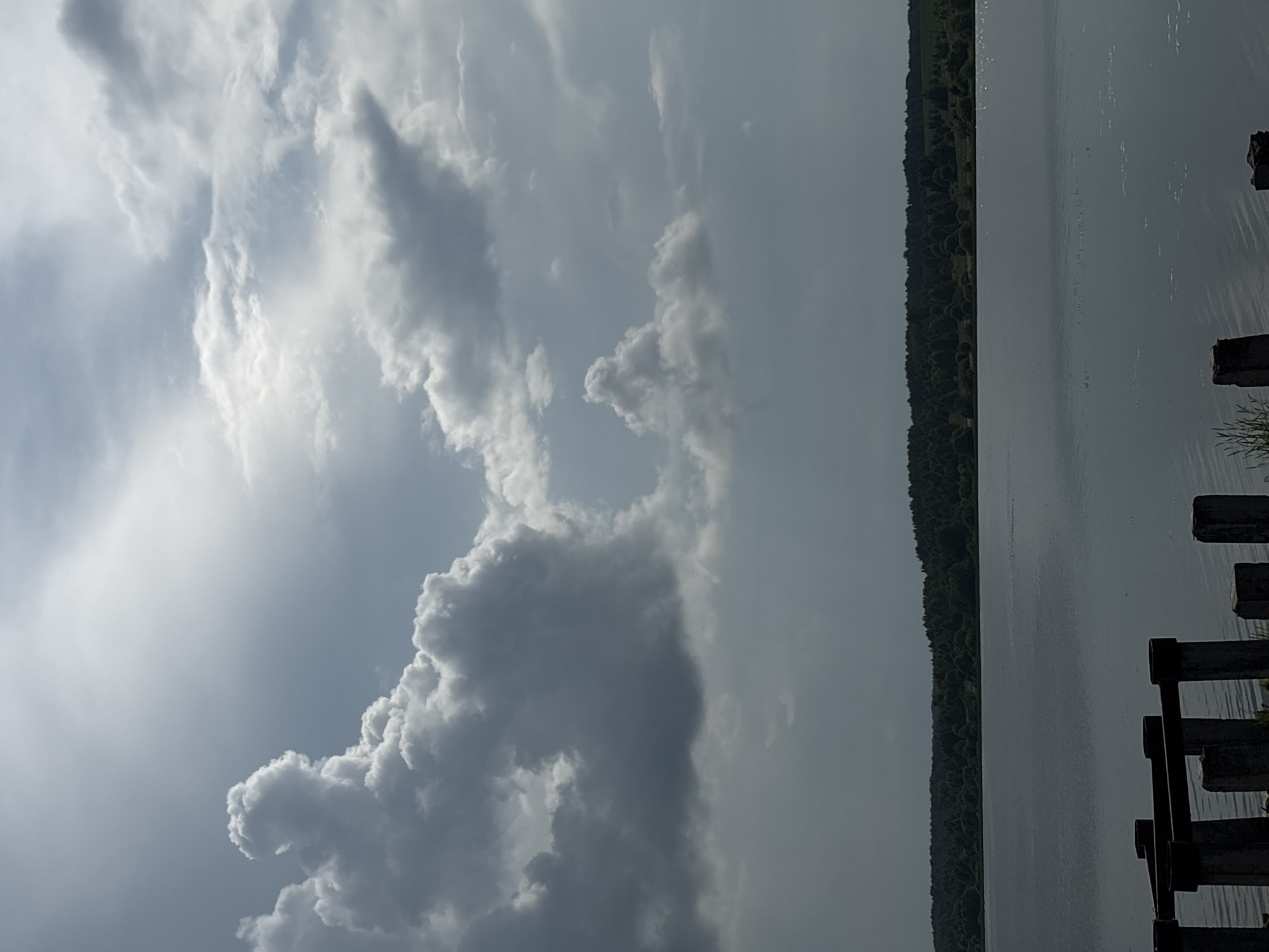The image depicts a wide, calm body of water, likely a lake or river, under a dramatic sky filled with large, billowing cumulus clouds. The water is dark and reflects the overcast sky, with small ripples breaking the surface in places. In the foreground, partially submerged wooden and concrete structures, possibly remnants of a pier or jetty, are visible. Across the water, a dense, dark green treeline forms the horizon, suggesting a wooded area or forest. The overall scene is serene but somewhat somber due to the cloudy sky. The location is identified as Bereznik, Russia.