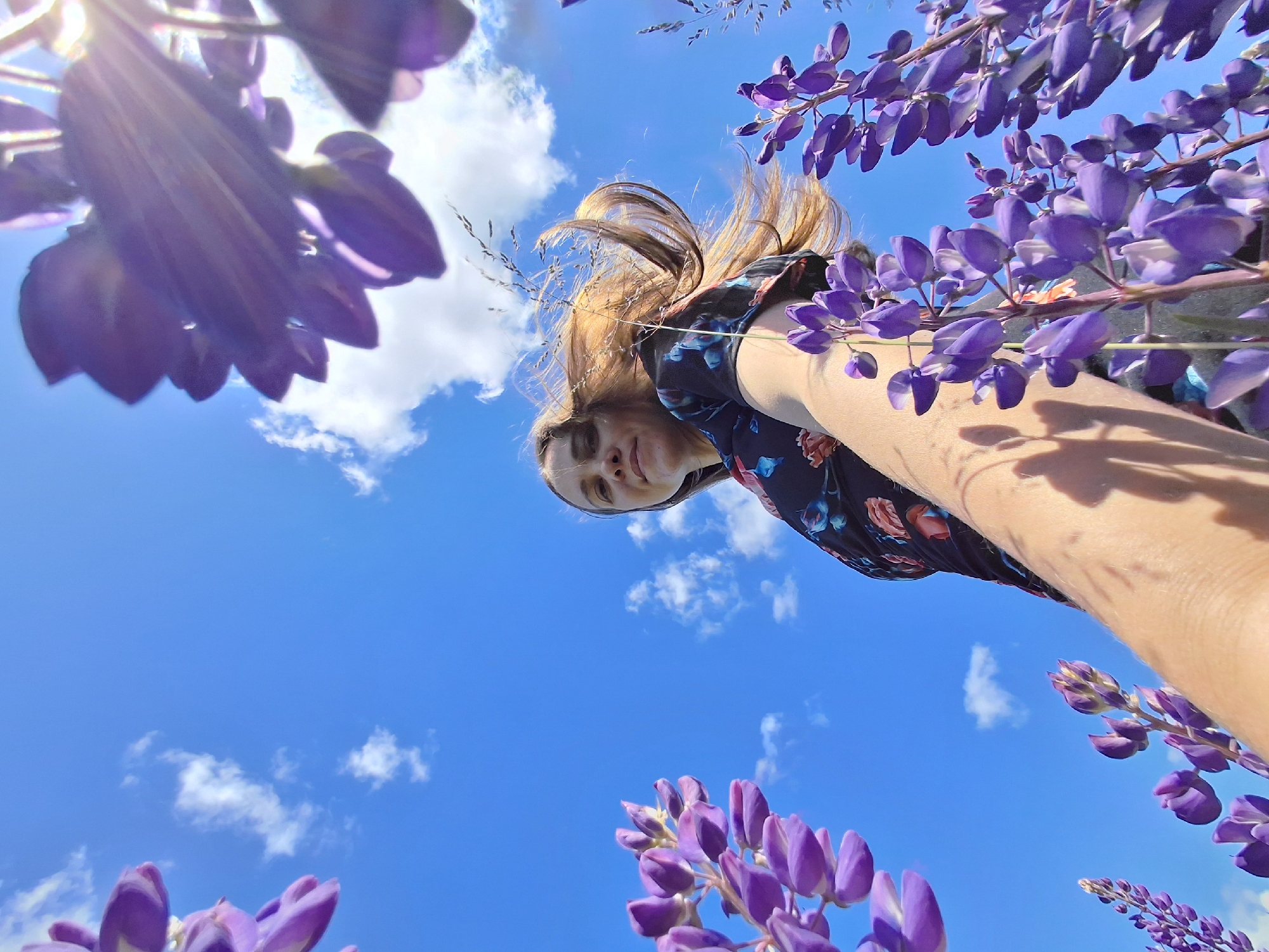 A low-angle, wide shot captures a woman with light brown hair, wearing a black dress with a floral pattern, standing outdoors amongst purple lupine flowers under a bright blue sky with scattered white clouds. The woman is positioned in the center of the frame, looking upwards and slightly towards the camera. Her hair is windswept, creating a dynamic effect. The lupine flowers are in the foreground and partially frame the woman, with some blurred out of focus in the upper corners of the image. The sun is visible, casting lens flares and highlighting the flowers and the woman's hair. The environment appears to be a natural setting, possibly a field or garden, in Malyi Bukor, Russia.