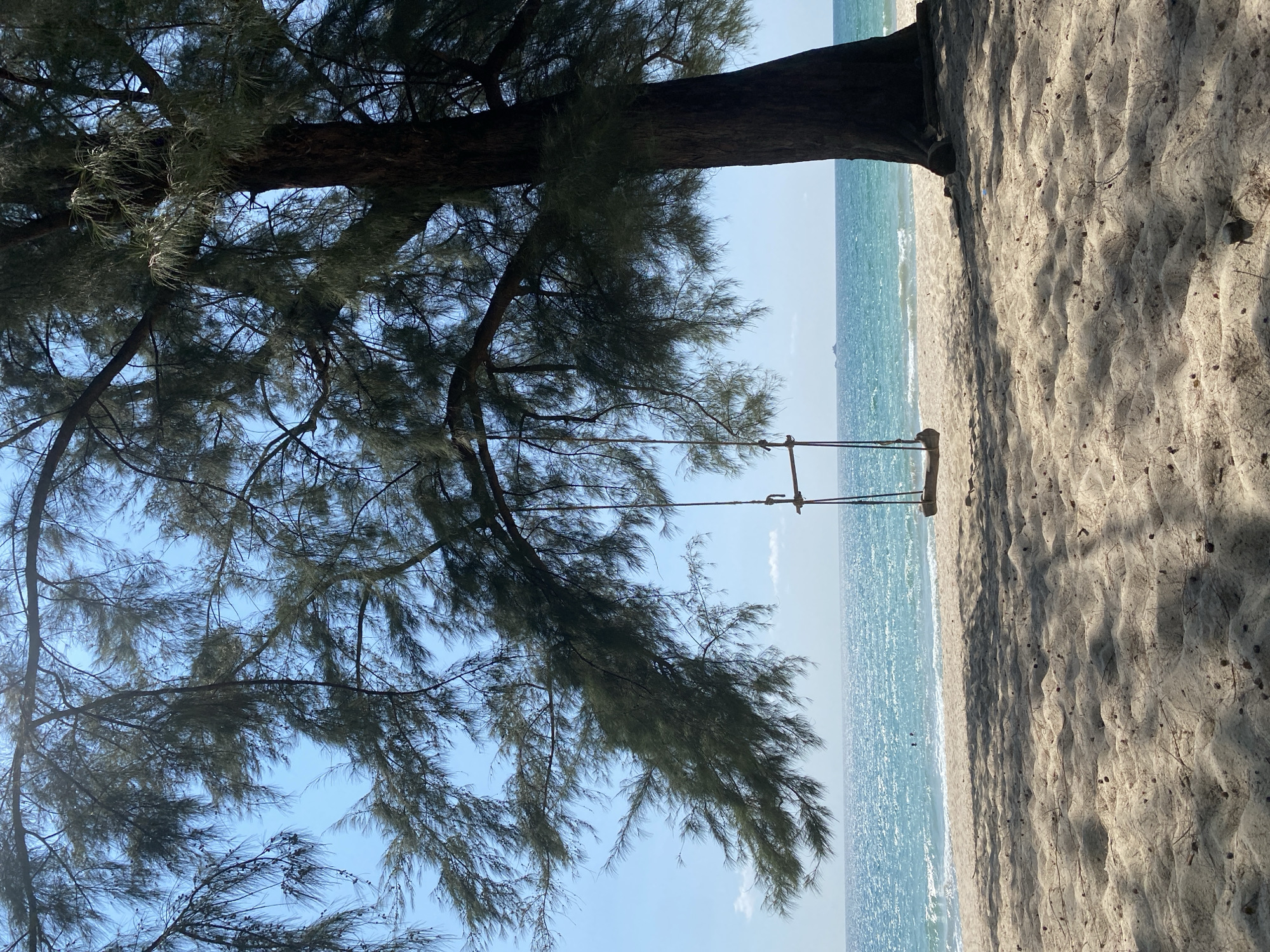 The image shows a beach scene in Choeng Thale, Thailand. A large tree occupies the left side of the frame, with its branches extending out over a clear blue sky. A swing hangs from one of the tree's larger branches. The beach consists of sand and meets a turquoise sea.